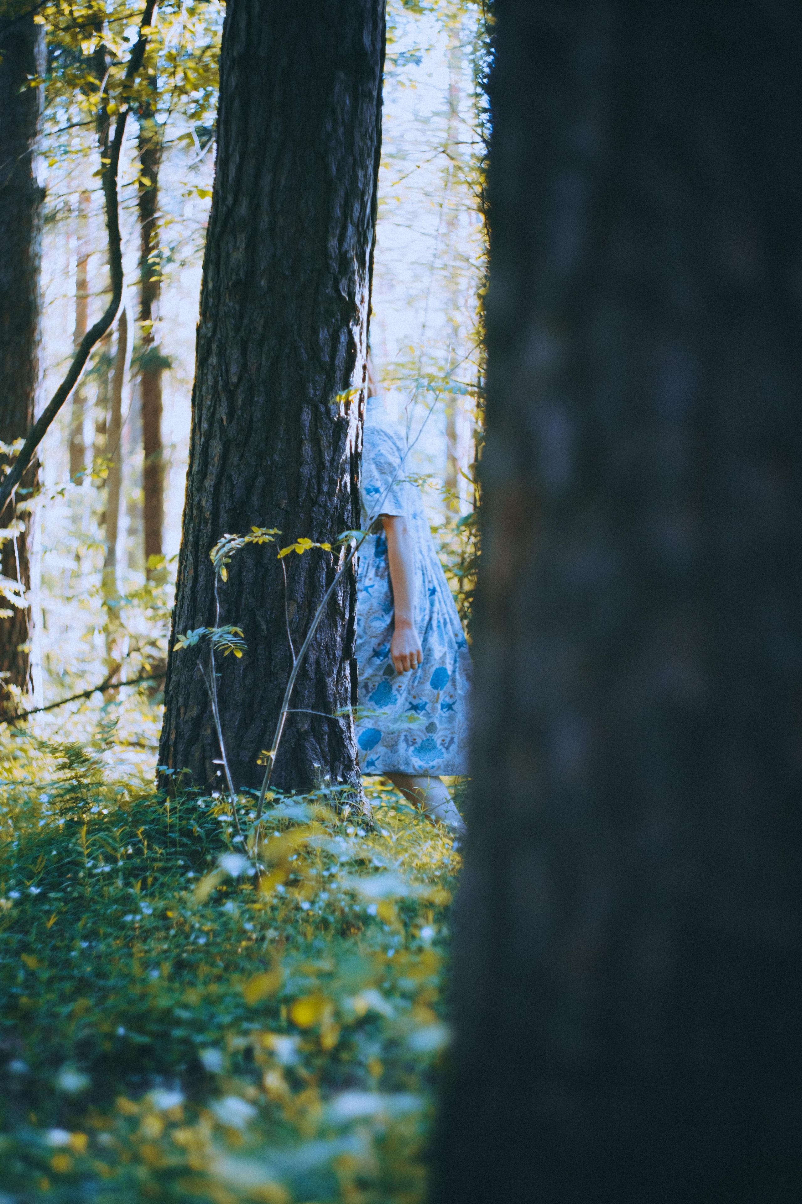 О птицах сказки. Алиса Аницкая