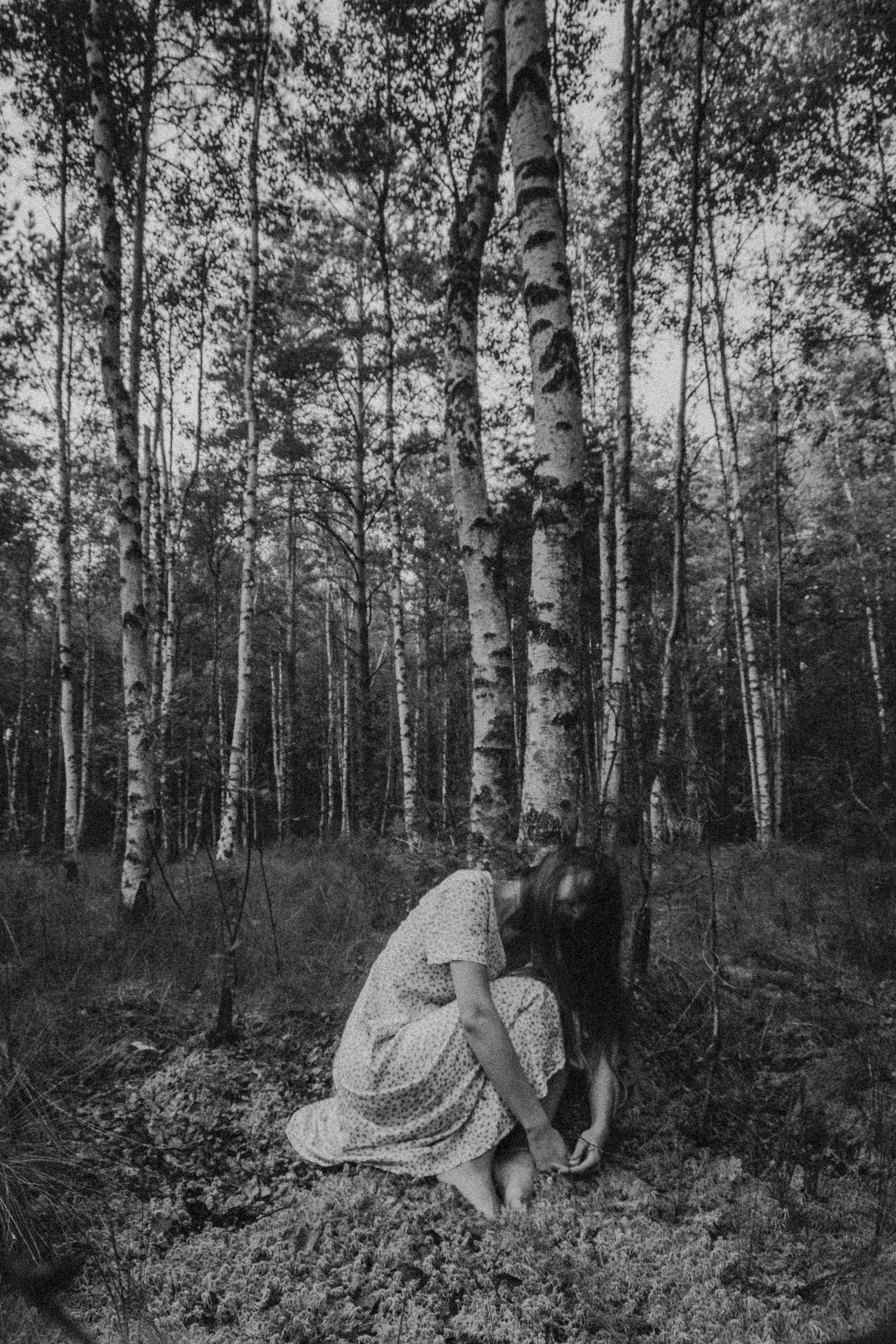 Поглощает — позволь и будь. Алиса Аницкая