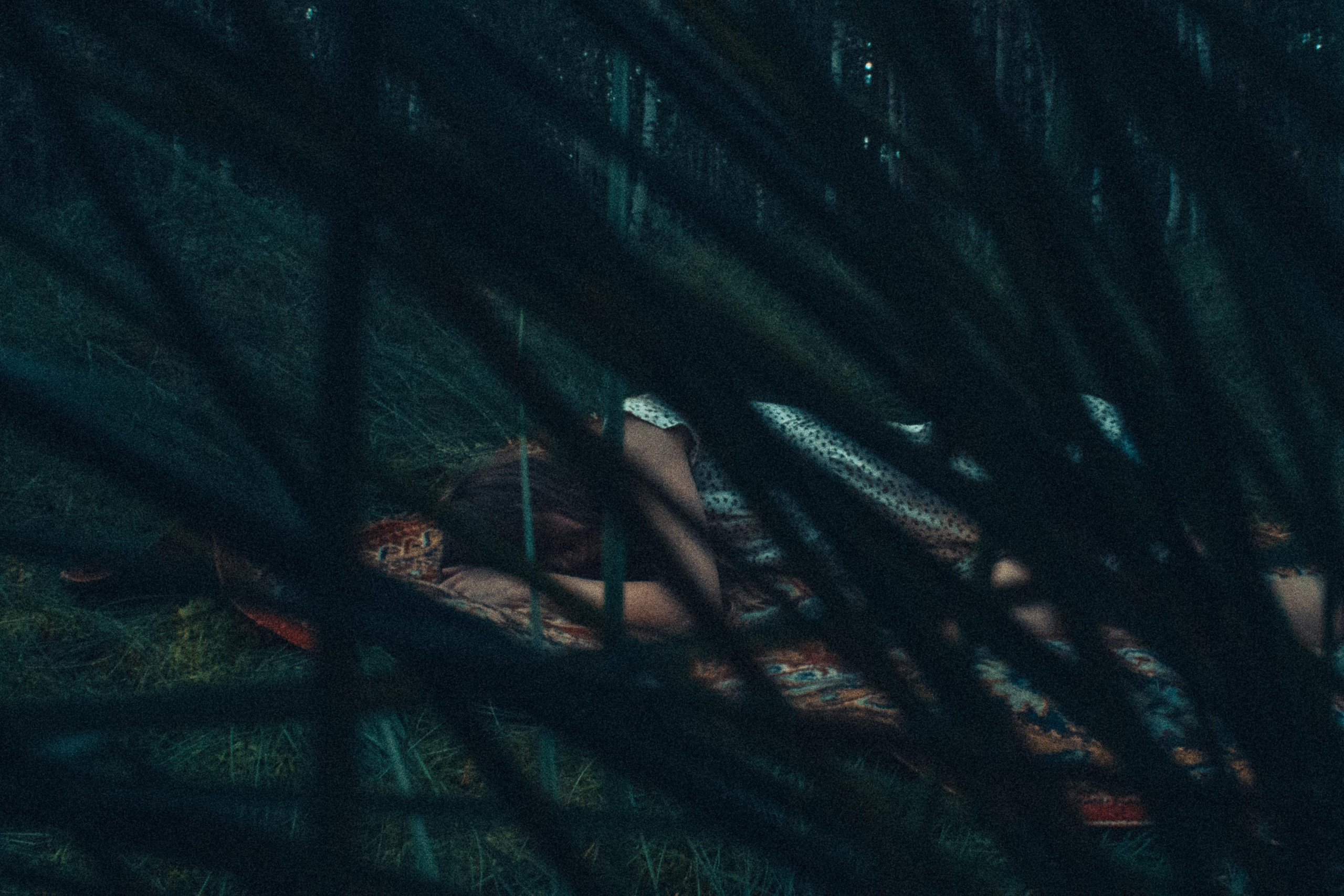 Поглощает — позволь и будь. Алиса Аницкая