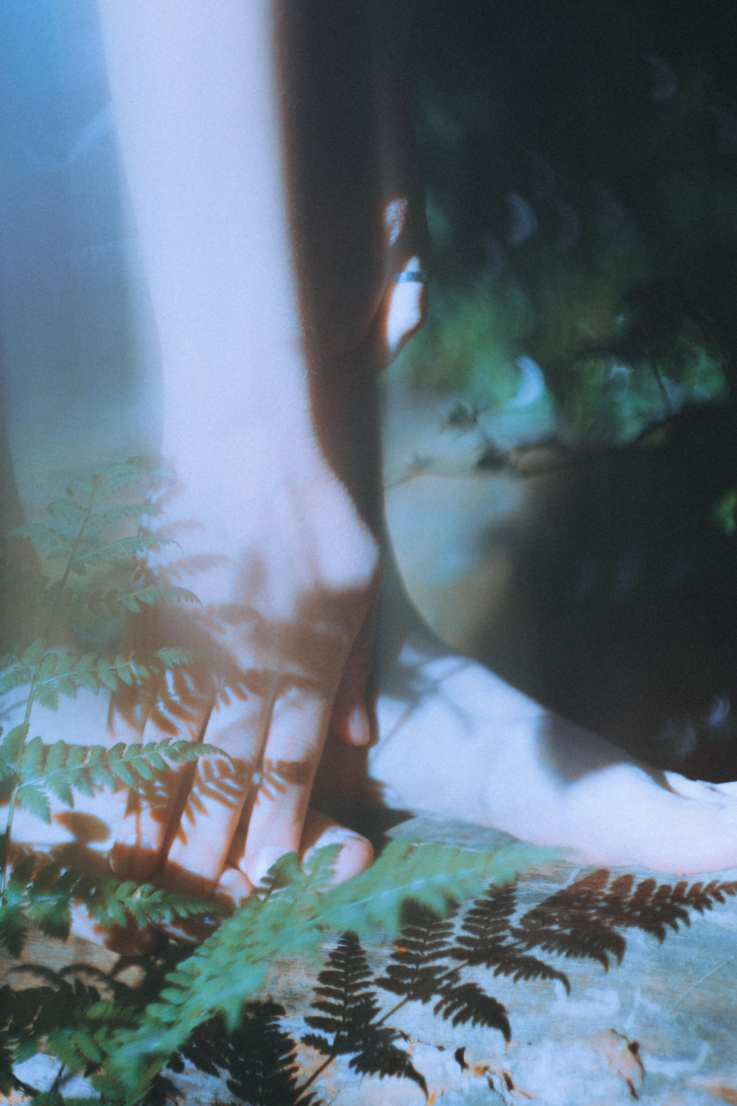 О птицах сказки. Алиса Аницкая