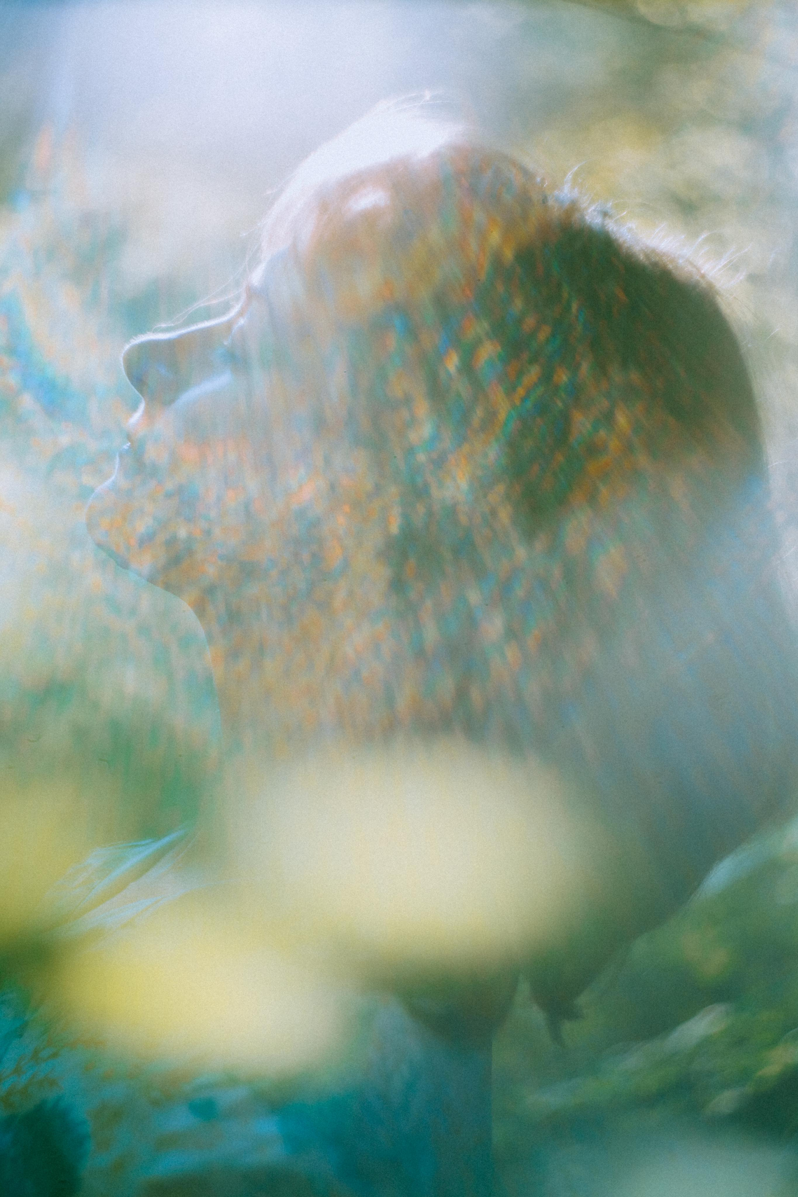 О птицах сказки. Алиса Аницкая