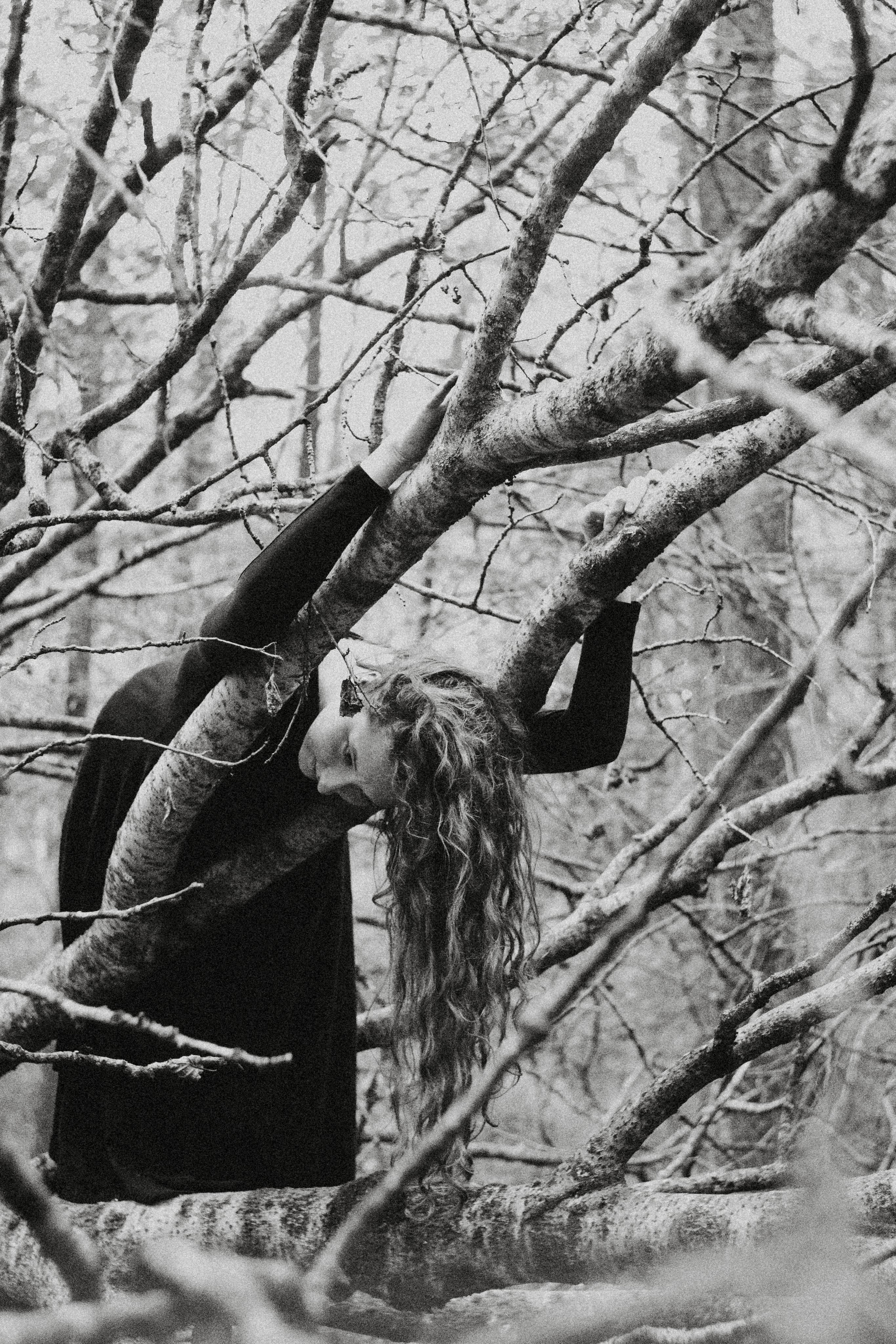 Над соснами. Алиса Аницкая