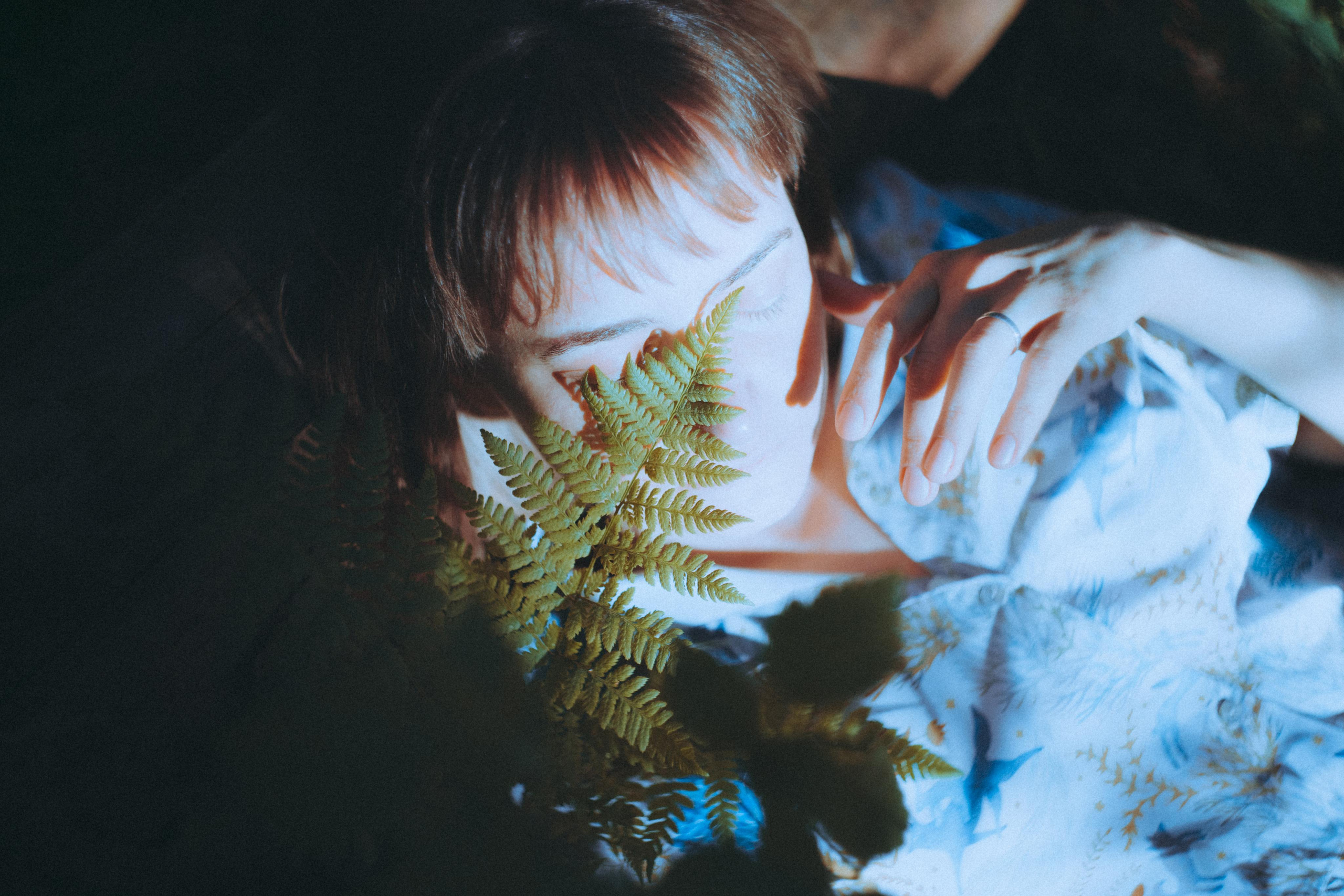 О птицах сказки. Алиса Аницкая