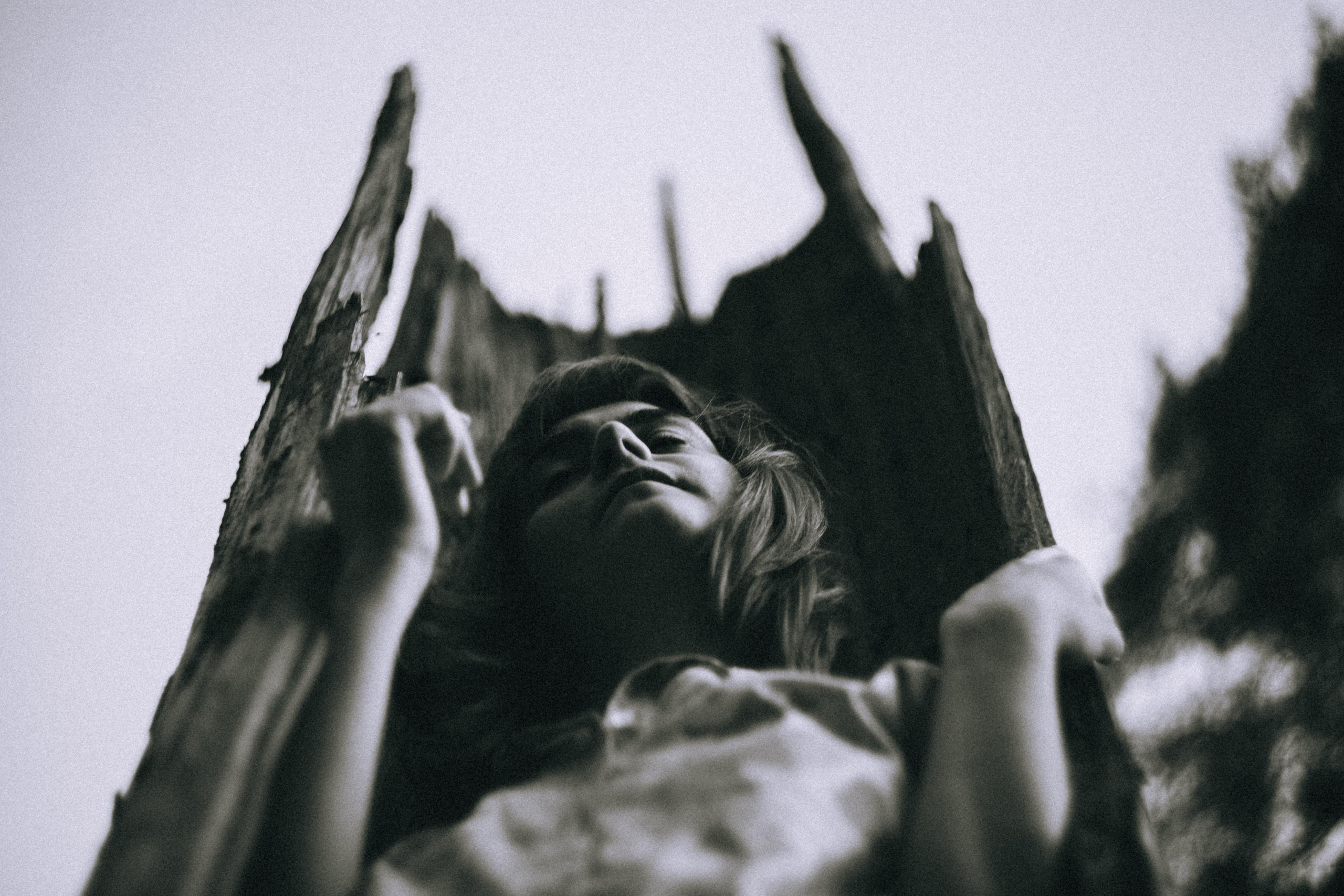 О птицах сказки. Алиса Аницкая