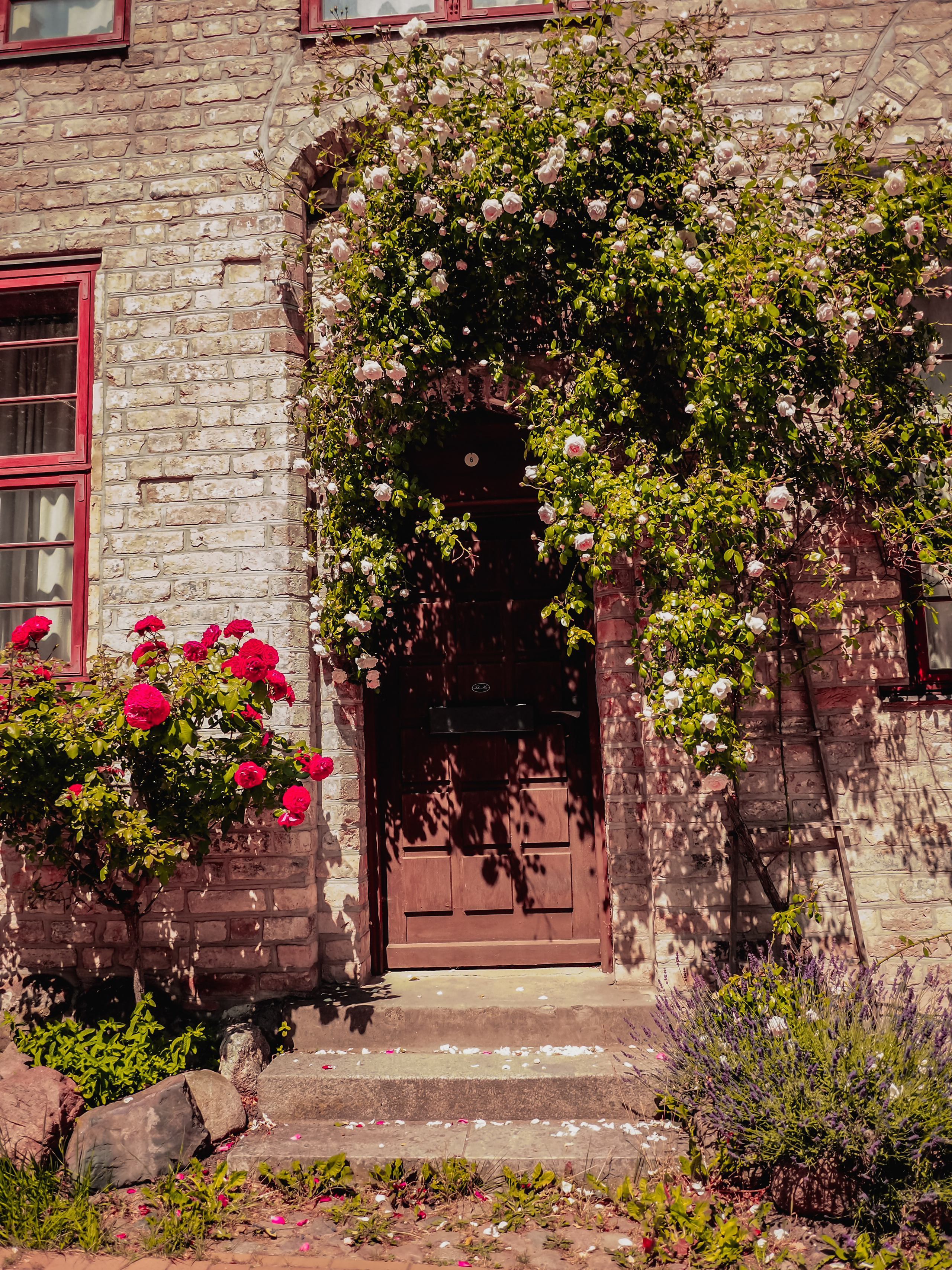 Росток. Германия. Репортажный фотограф в Берлине Александра Герман