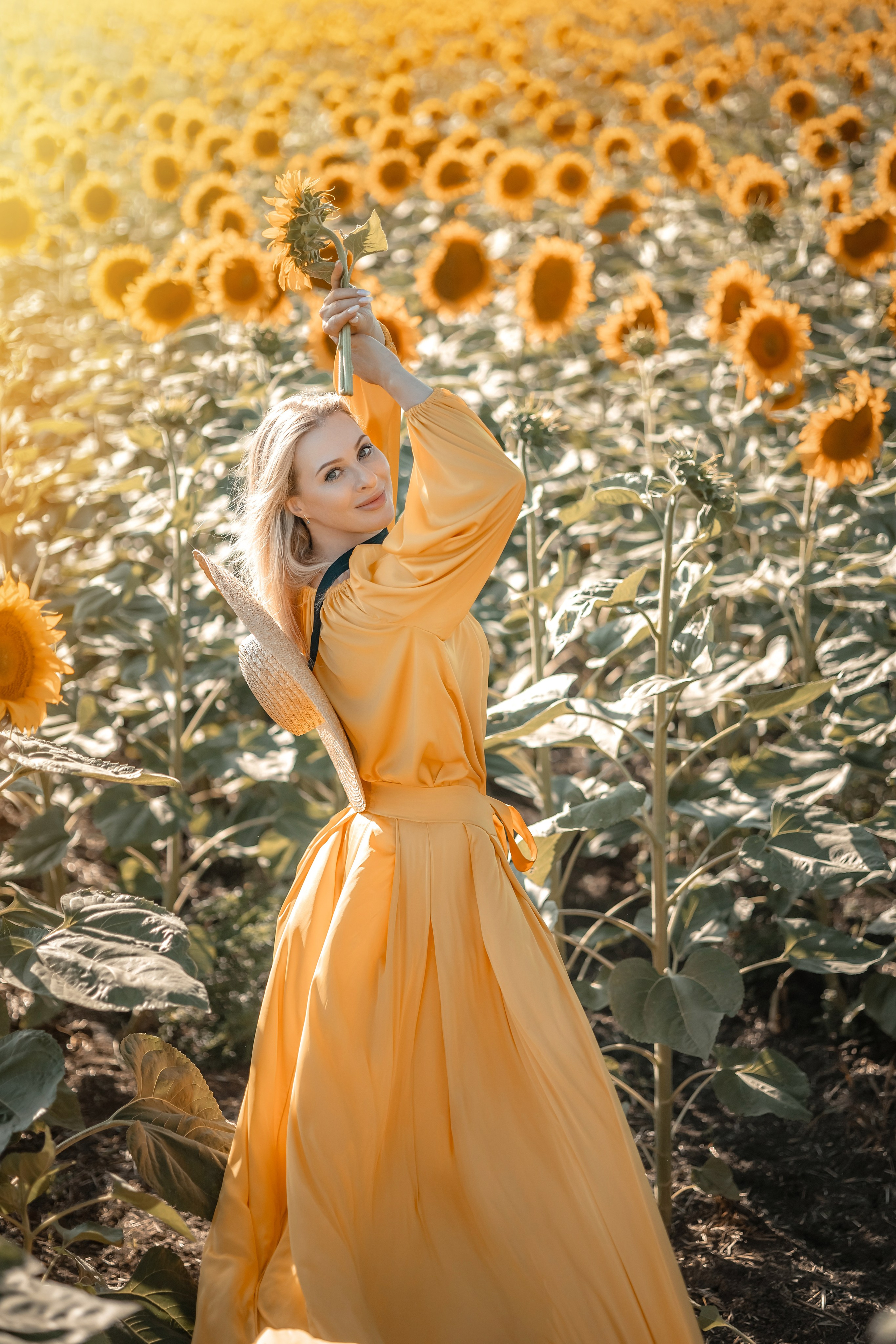 Солнечные подсолнухи. Художественный фотограф Анапа Александра Долбикова