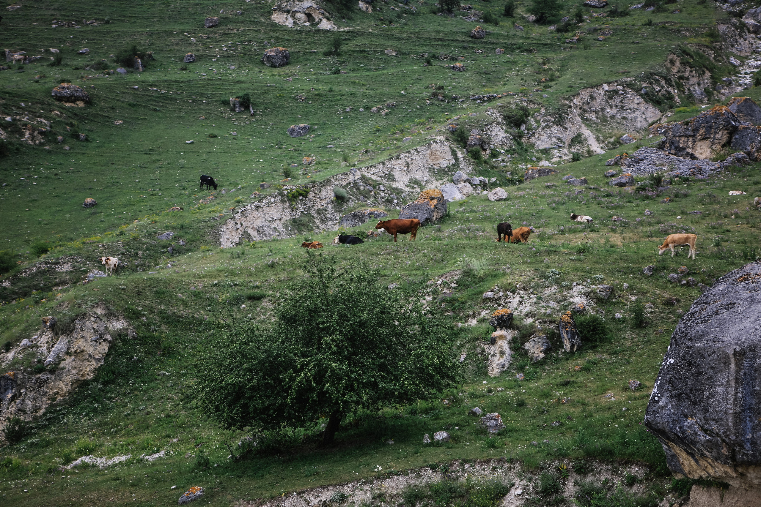Пресс-тур для Неизвестного Кавказа. Свадебный и портретный фотограф в Пятигорске, КМВ — Власова Юля
