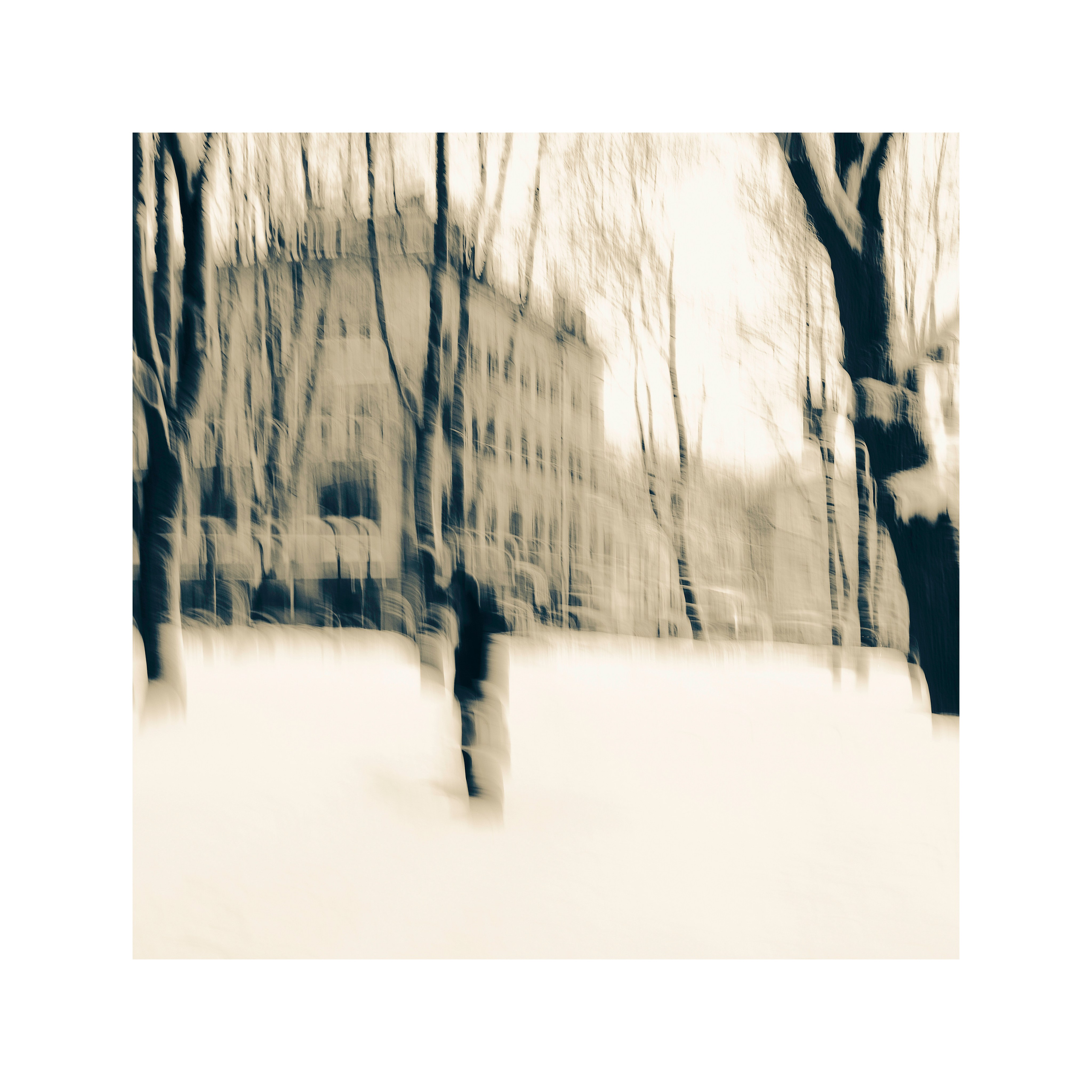 МОНОХРОМ. ЗИМА 01.2026 (ART 33). Арт-фотограф в Санкт-Петербурге и Выборге Олег Борцов