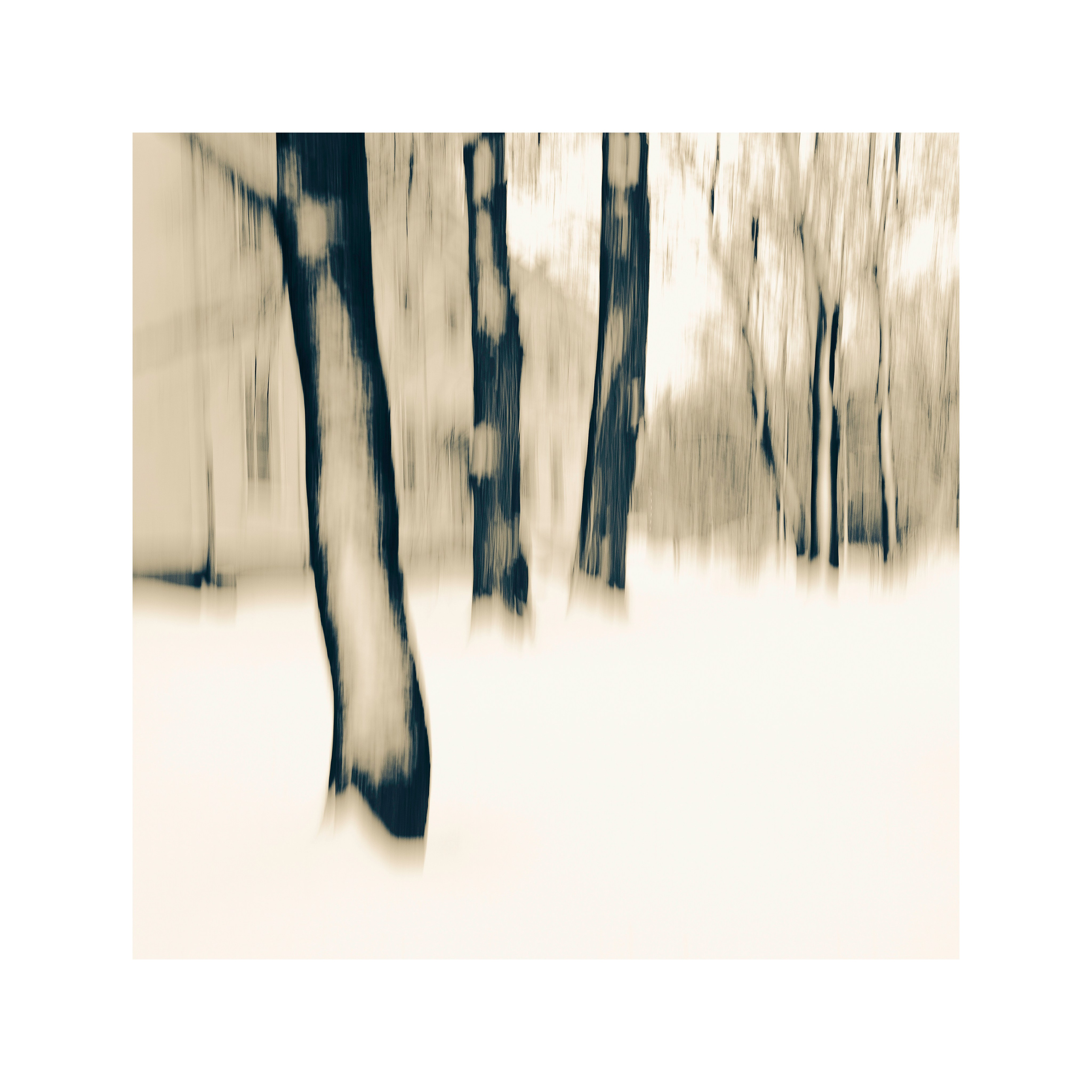 МОНОХРОМ. ЗИМА 01.2026 (ART 33). Арт-фотограф в Санкт-Петербурге и Выборге Олег Борцов