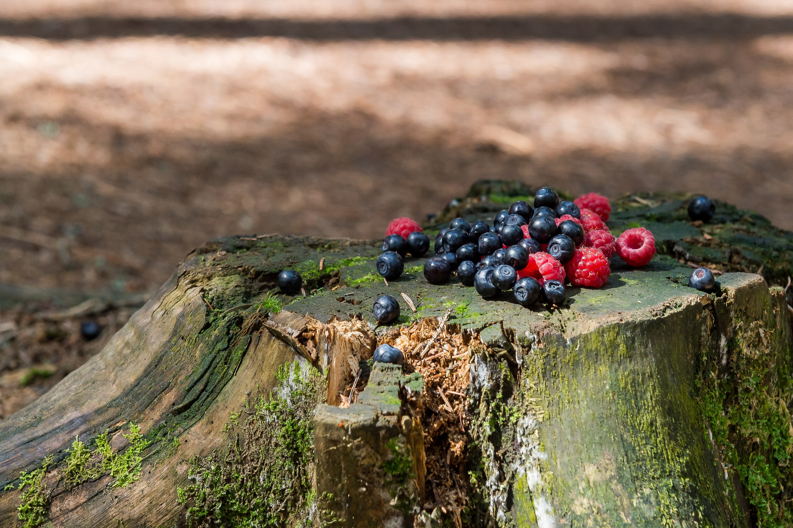 Освящение Оковецкого святого источника. 2015 год. Дима Бабушкин. Фотограф. Подиум. Репортаж. Творчество. Дорого