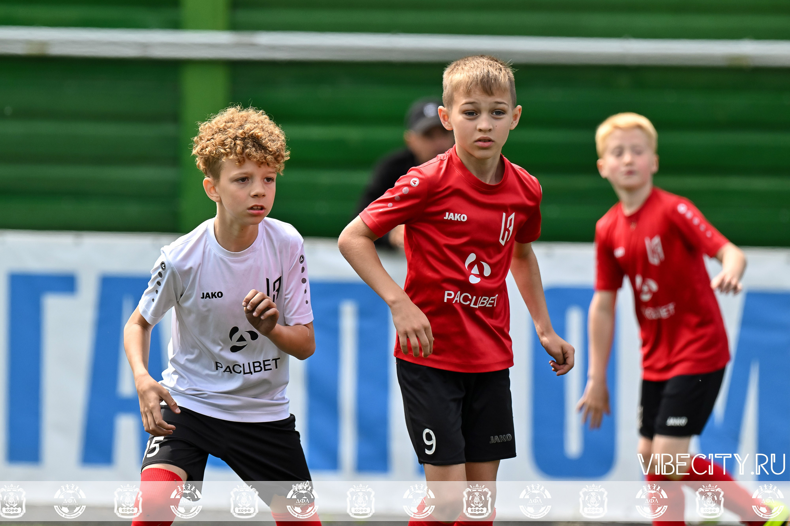 Большие Звезды светят Малым. VIBECITY.RU Вайб Сити Ру Фоторепортажи Фотоотчеты Калининград