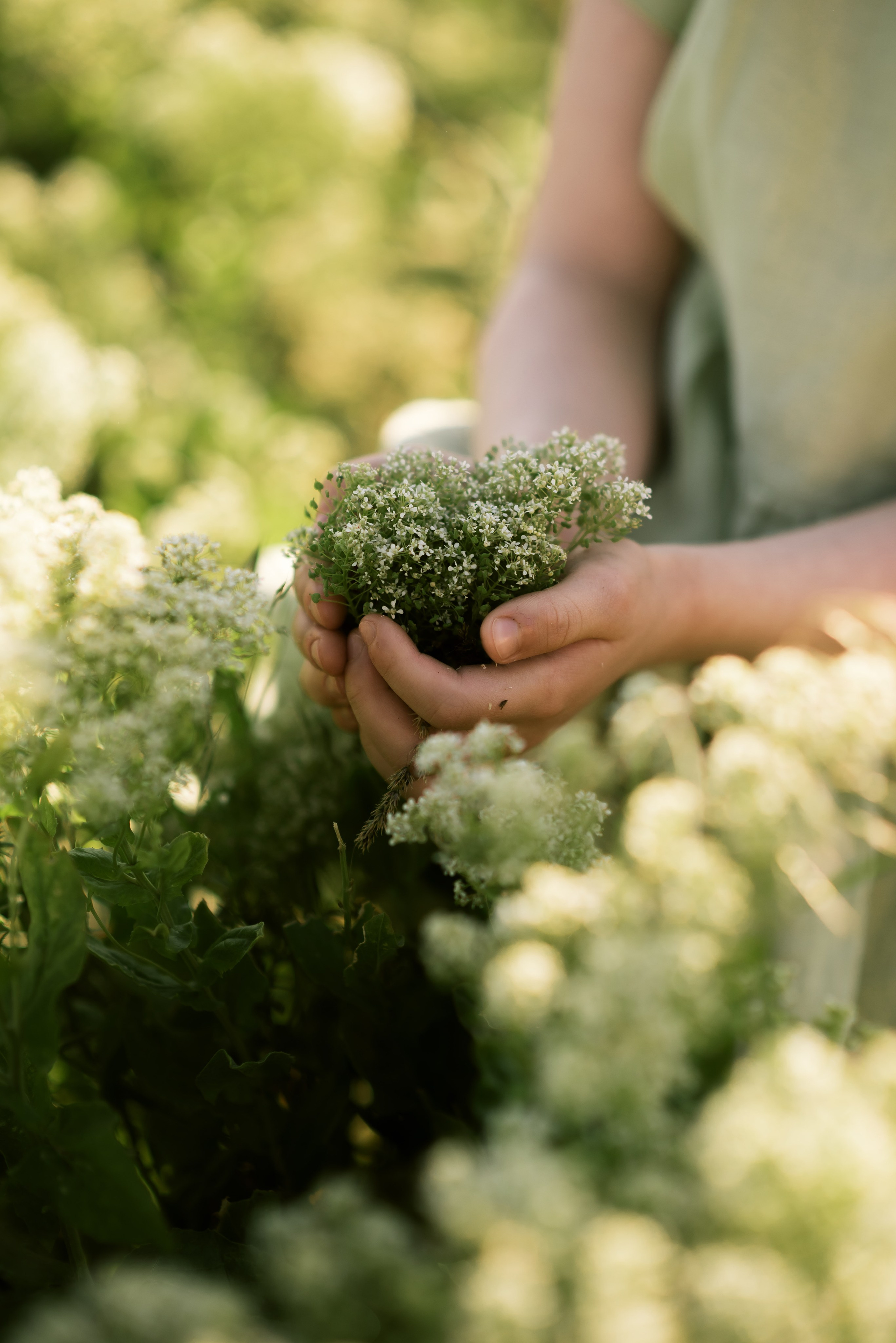 Девичьи прогулки. Главная