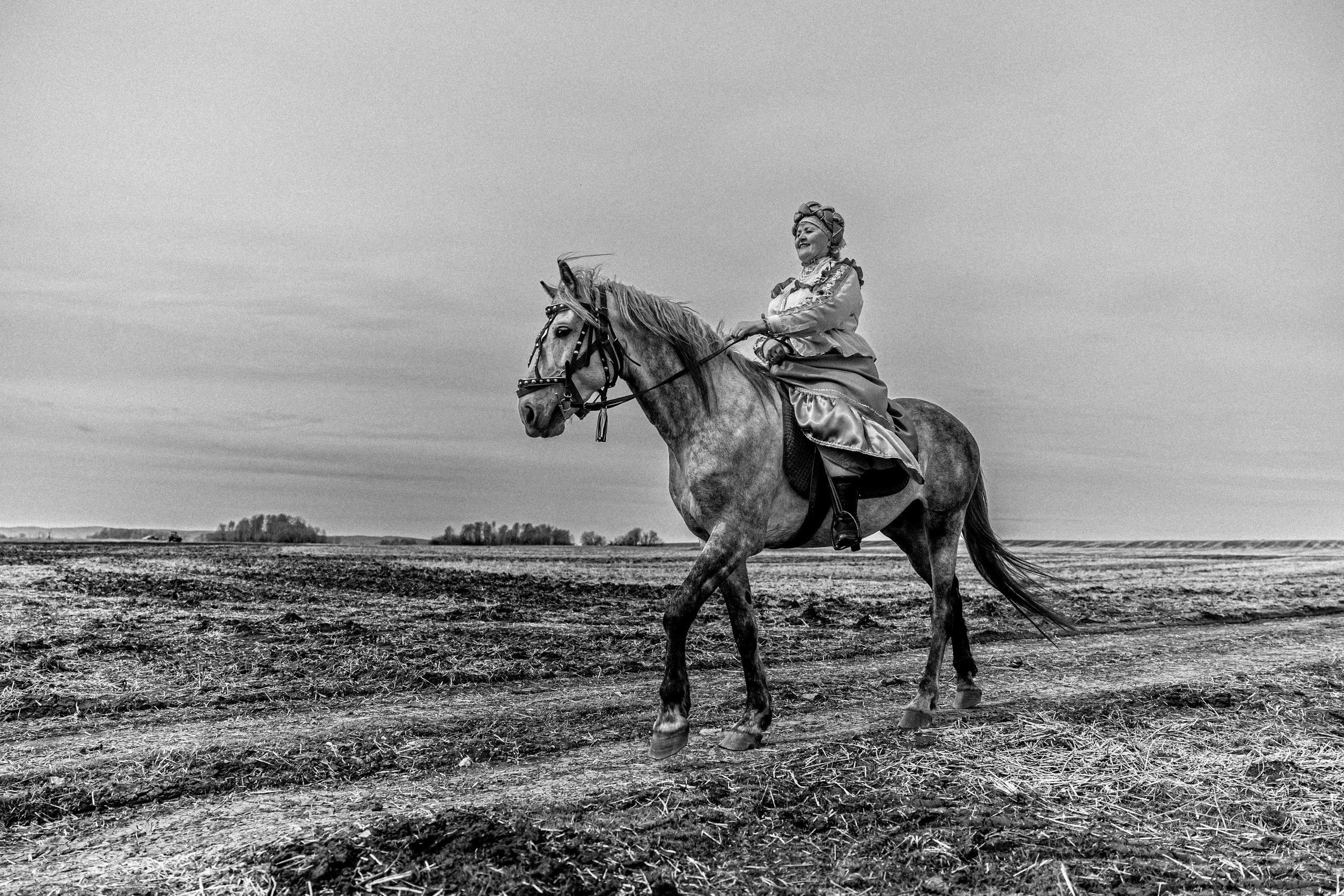 Прогулочная Фотосессия с Лошадьми