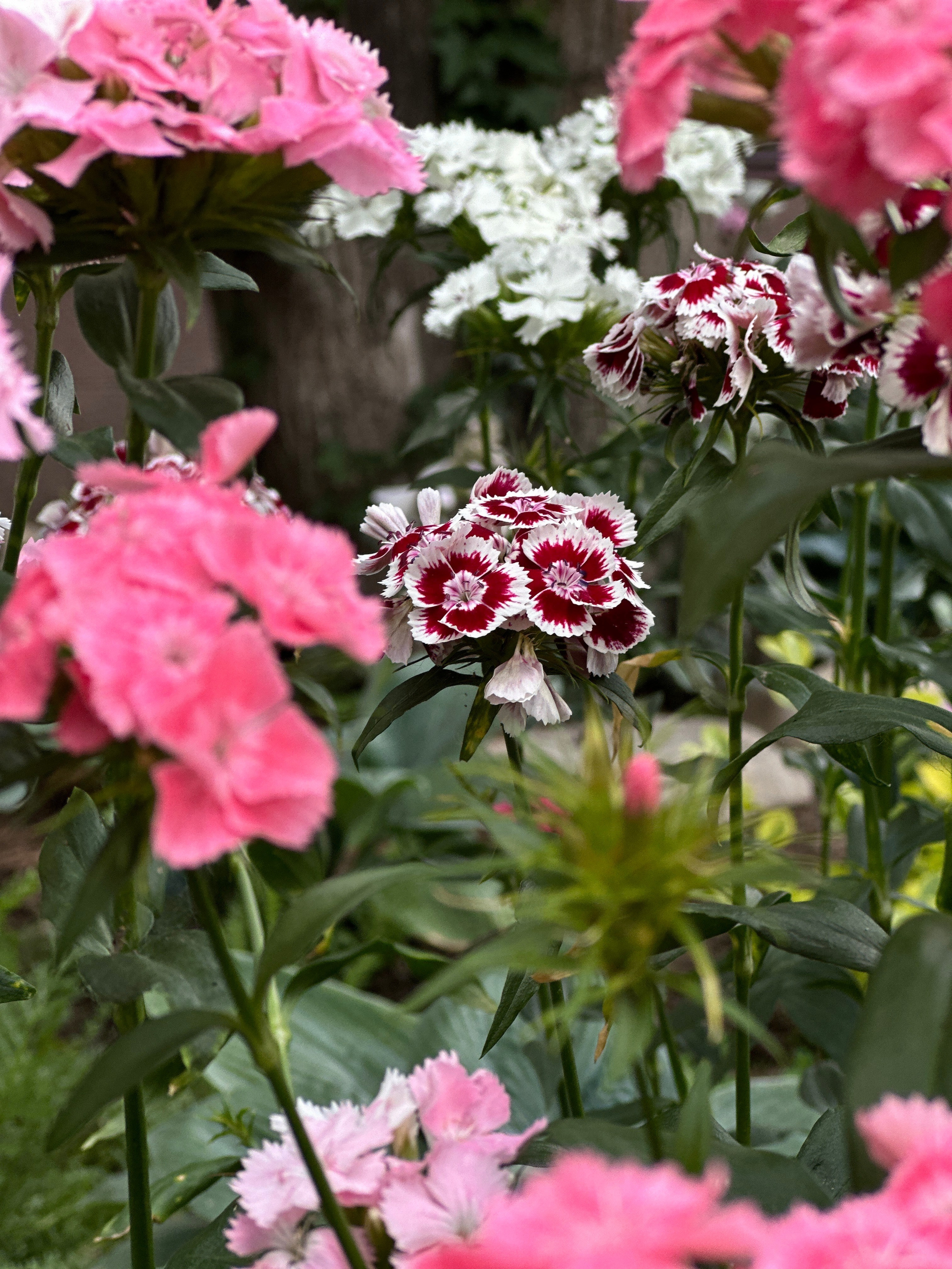 Флора и фауна. Смотри, красота!