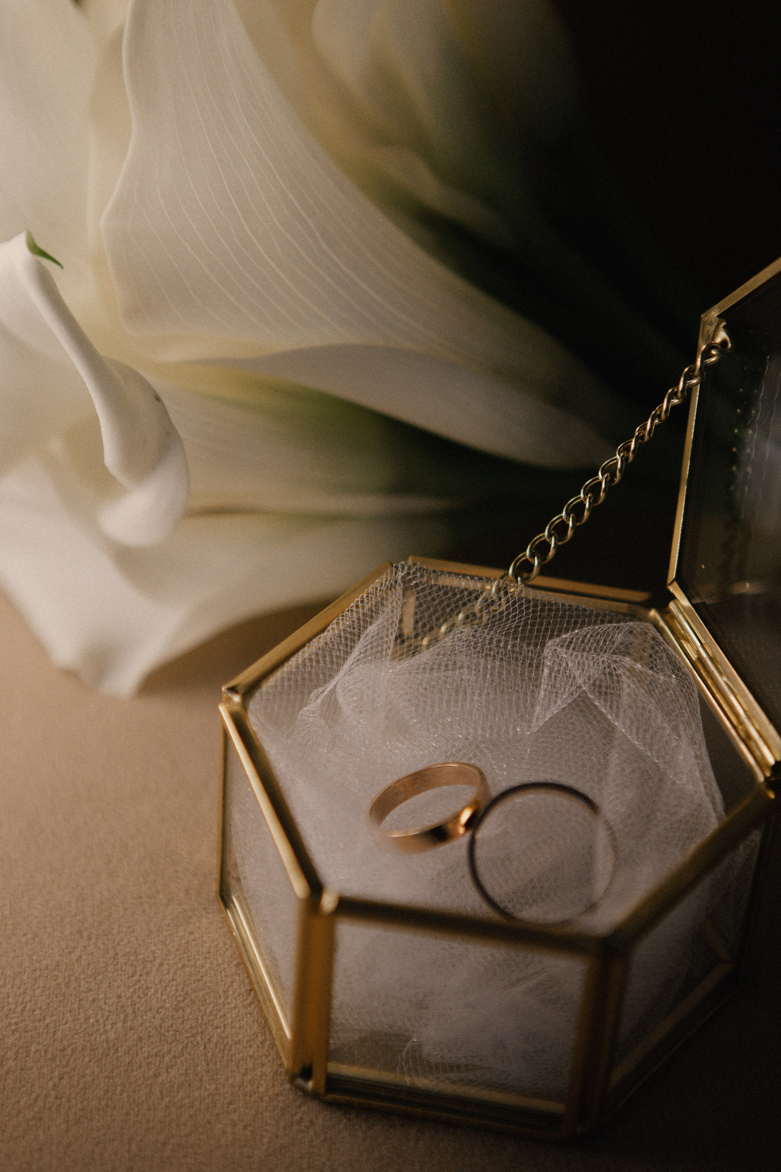 Анастасия/Алексей. Фотограф Оренбург Алёна Лелет