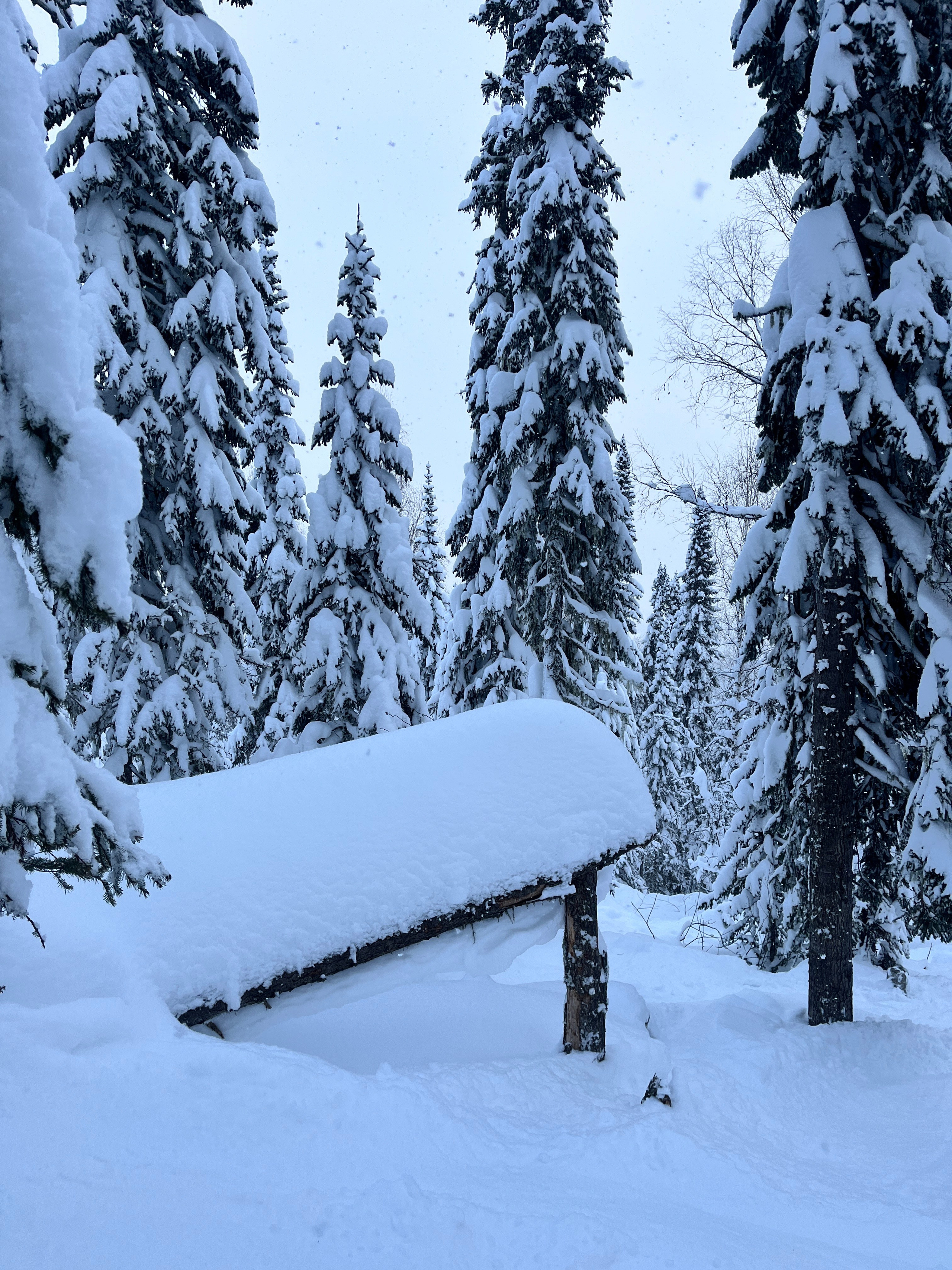 Фото с тура в Шерегеш — Время Приключений