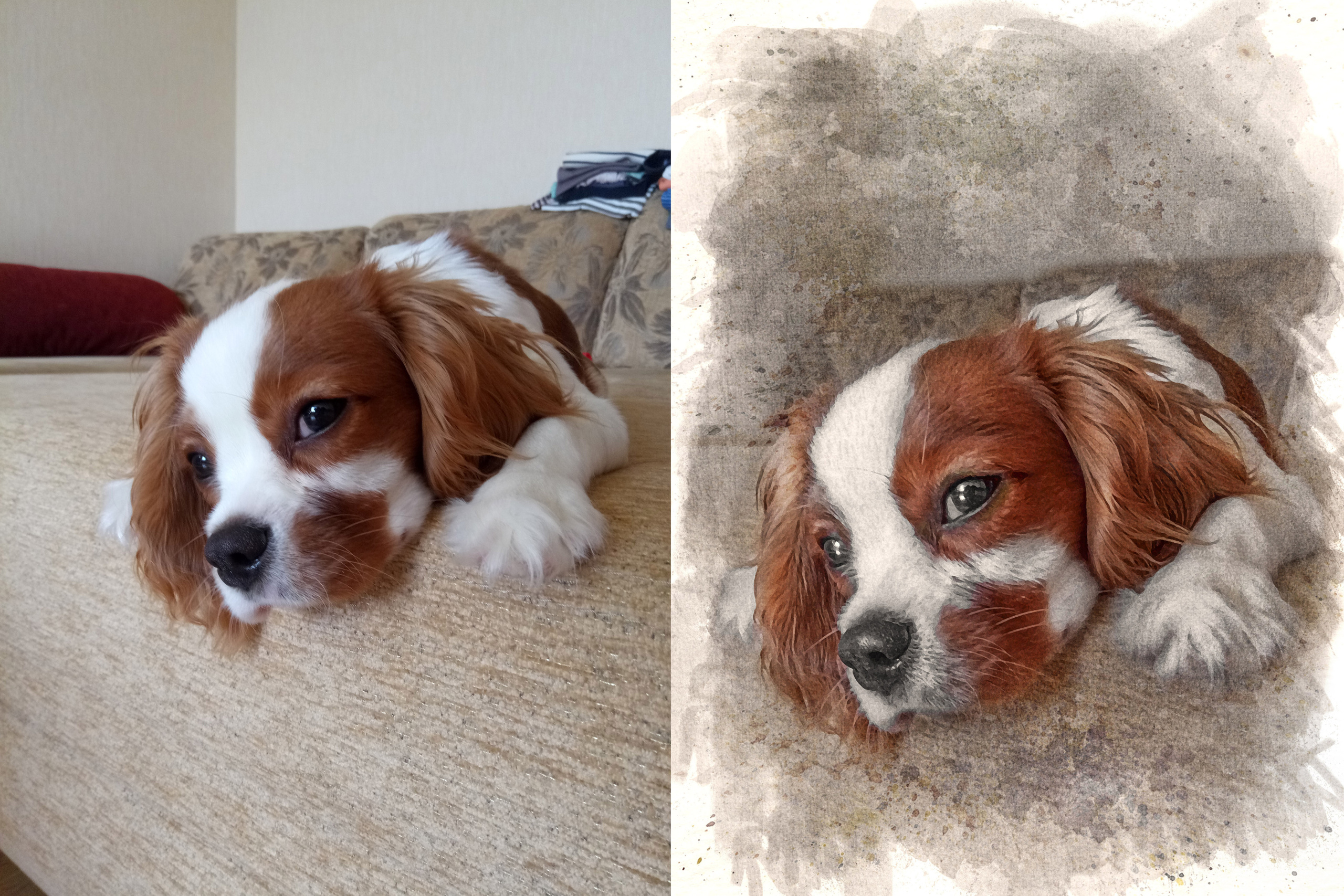 Художественная обработка фотографий. Ретушер в Санкт-Петербурге Марина Дорогая