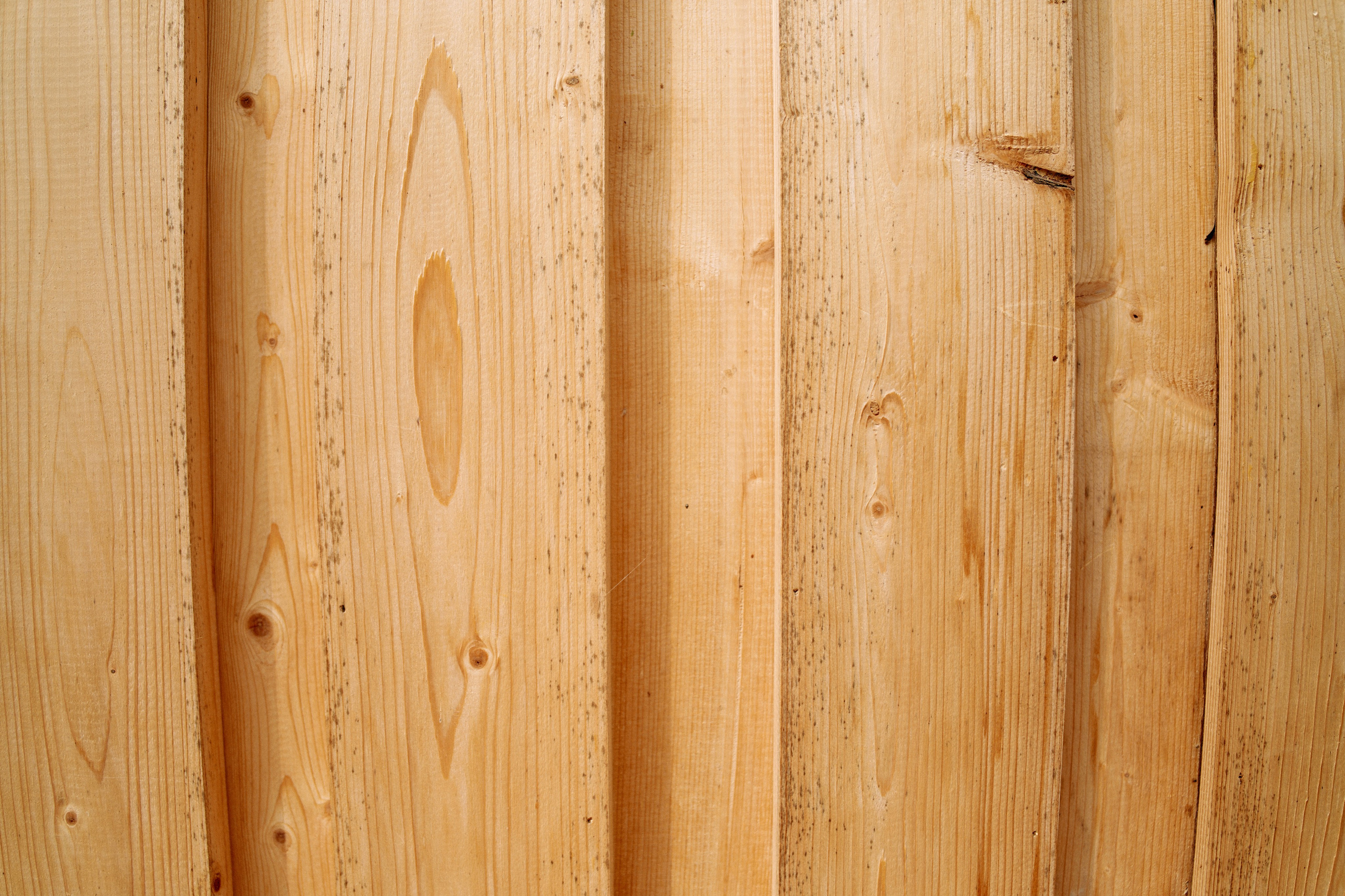 Бутик-отель Поле летом. Профессиональный Фотограф во Владимире, в Москве и в Суздале — Полина Романычева