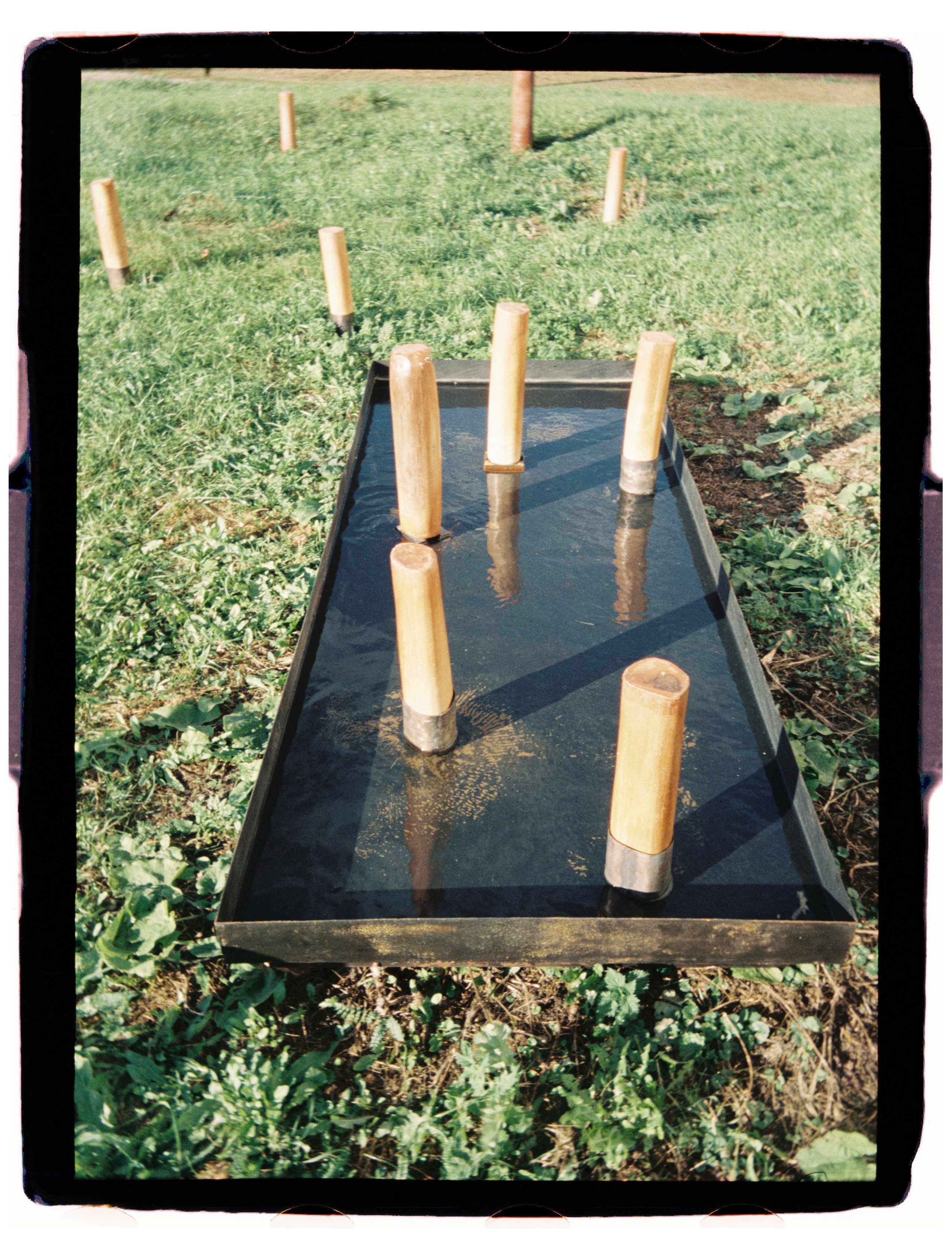 Пленка для журнала. Профессиональный Фотограф во Владимире, в Москве и в Суздале — Полина Романычева
