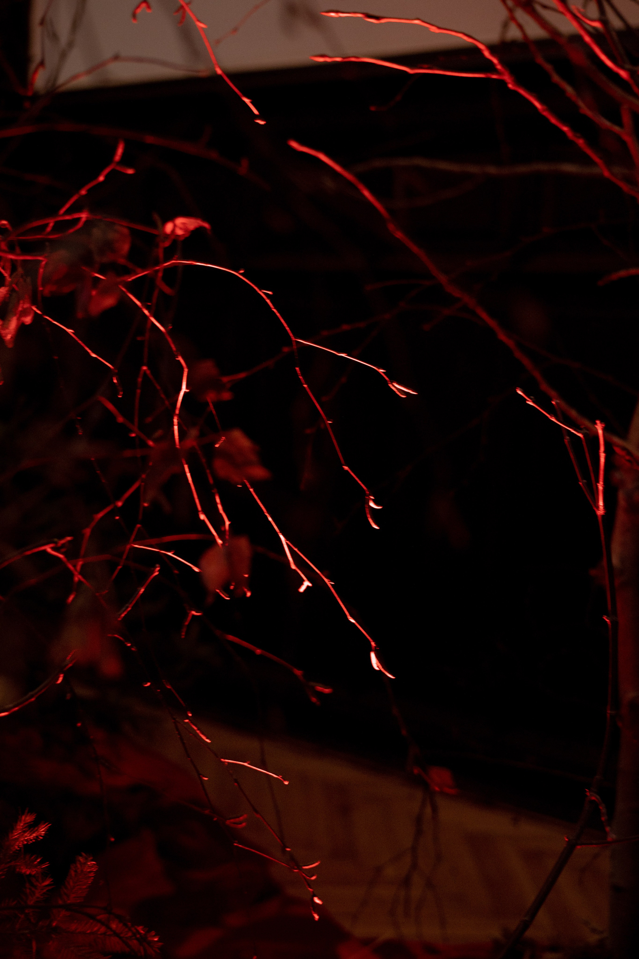 Новогодний корпоратив в фольклорном стиле. Особняк Лемана. Оформление свадеб, декор свадеб Вера Маркова, Москва