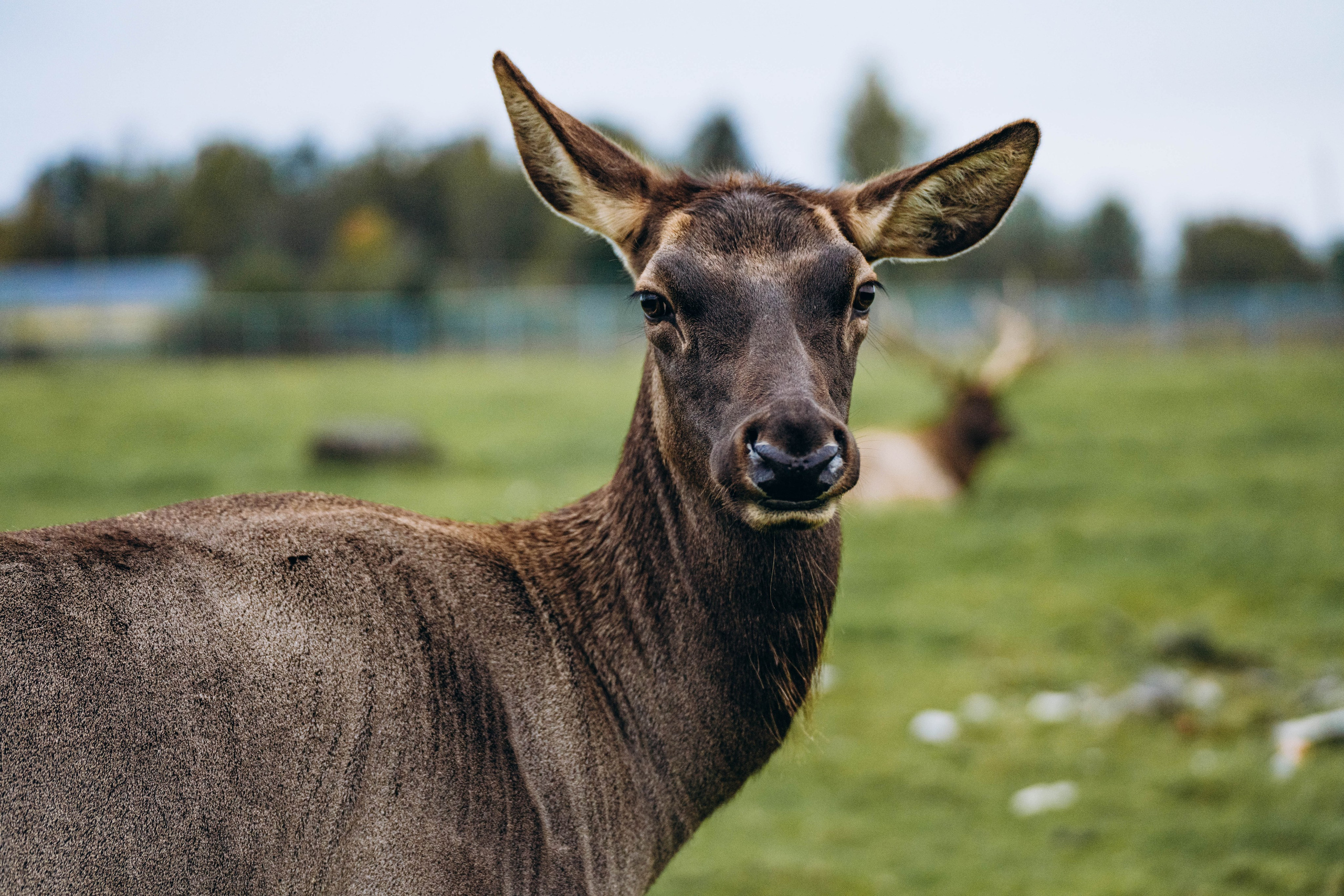СЕВЕР. Event фотограф Степанова Александра