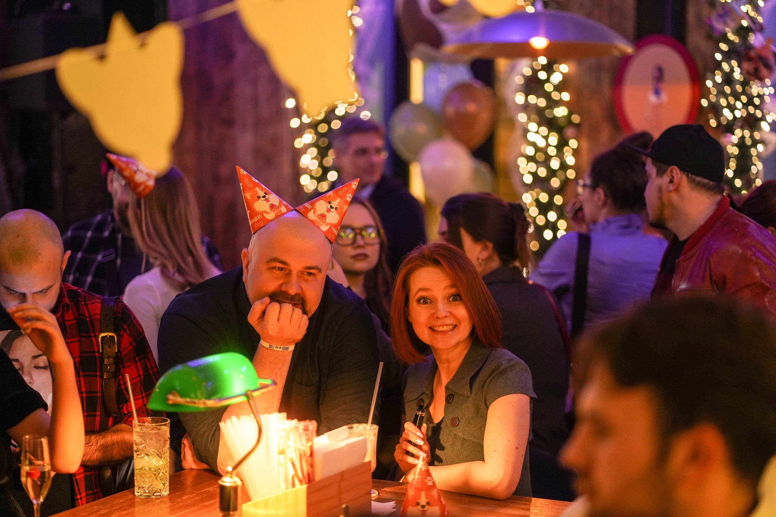 Бар Собаки в тумане. Фотограф