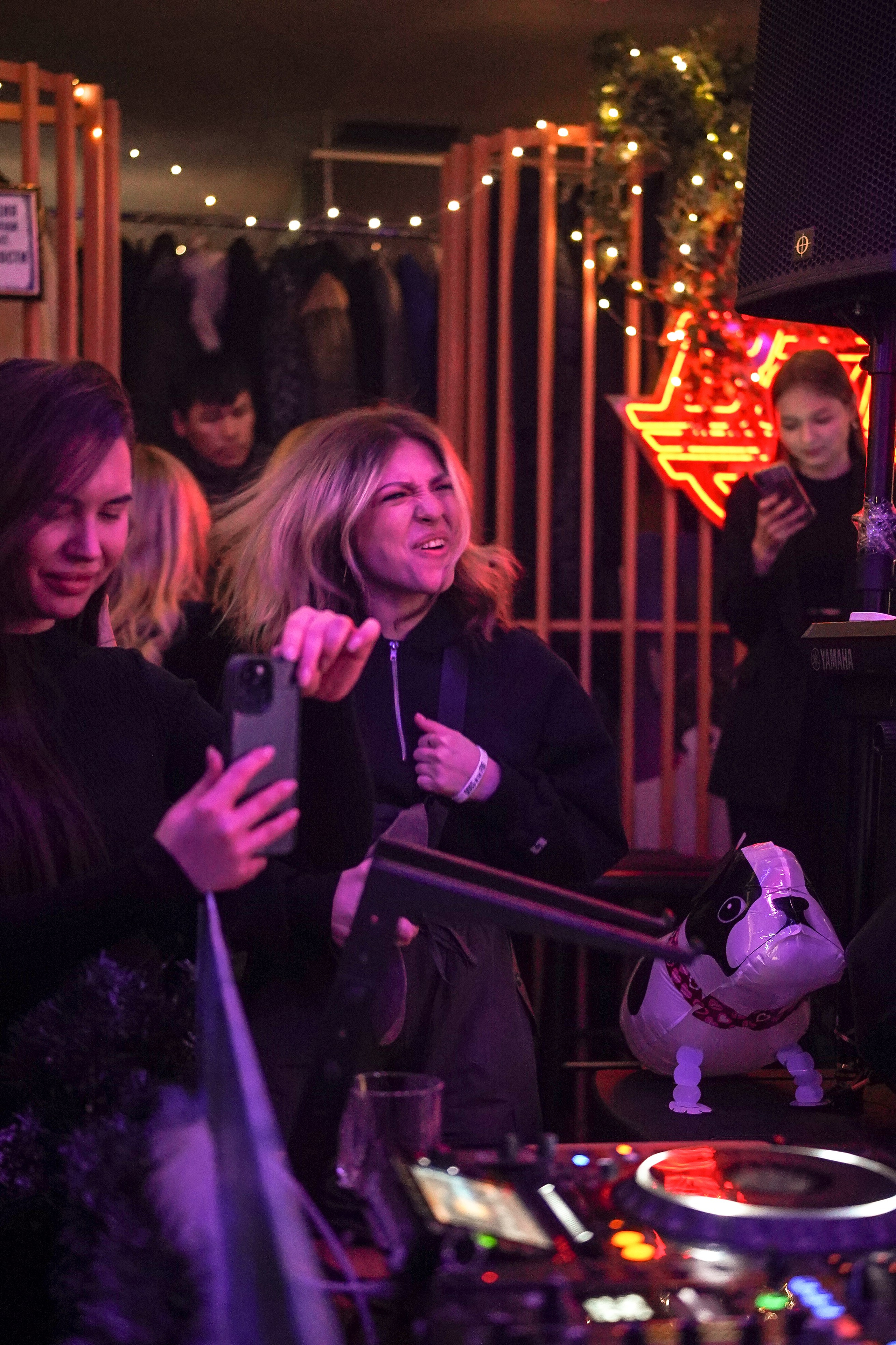 Бар Собаки в тумане. Фотограф