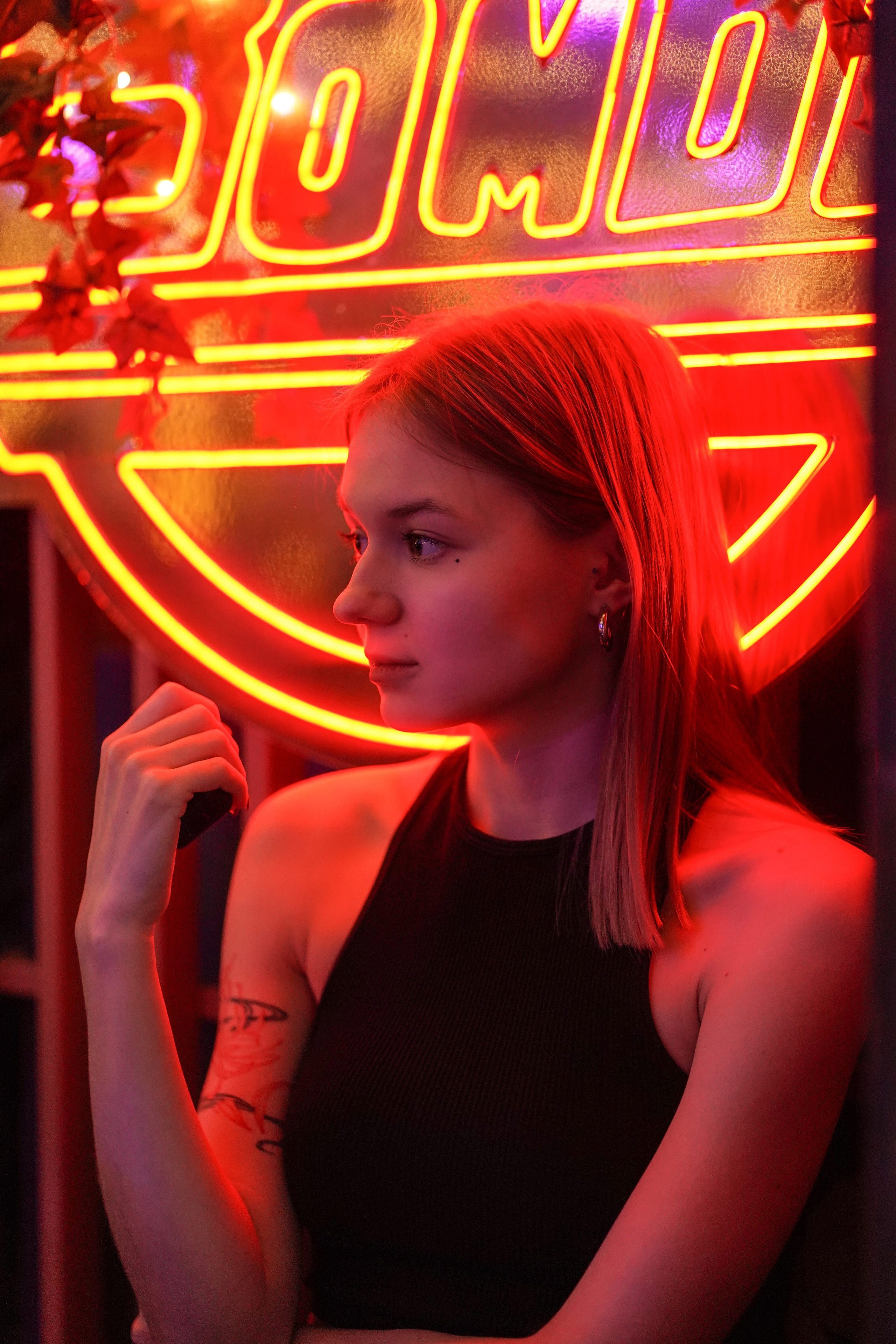 Бар Собаки в тумане. Фотограф