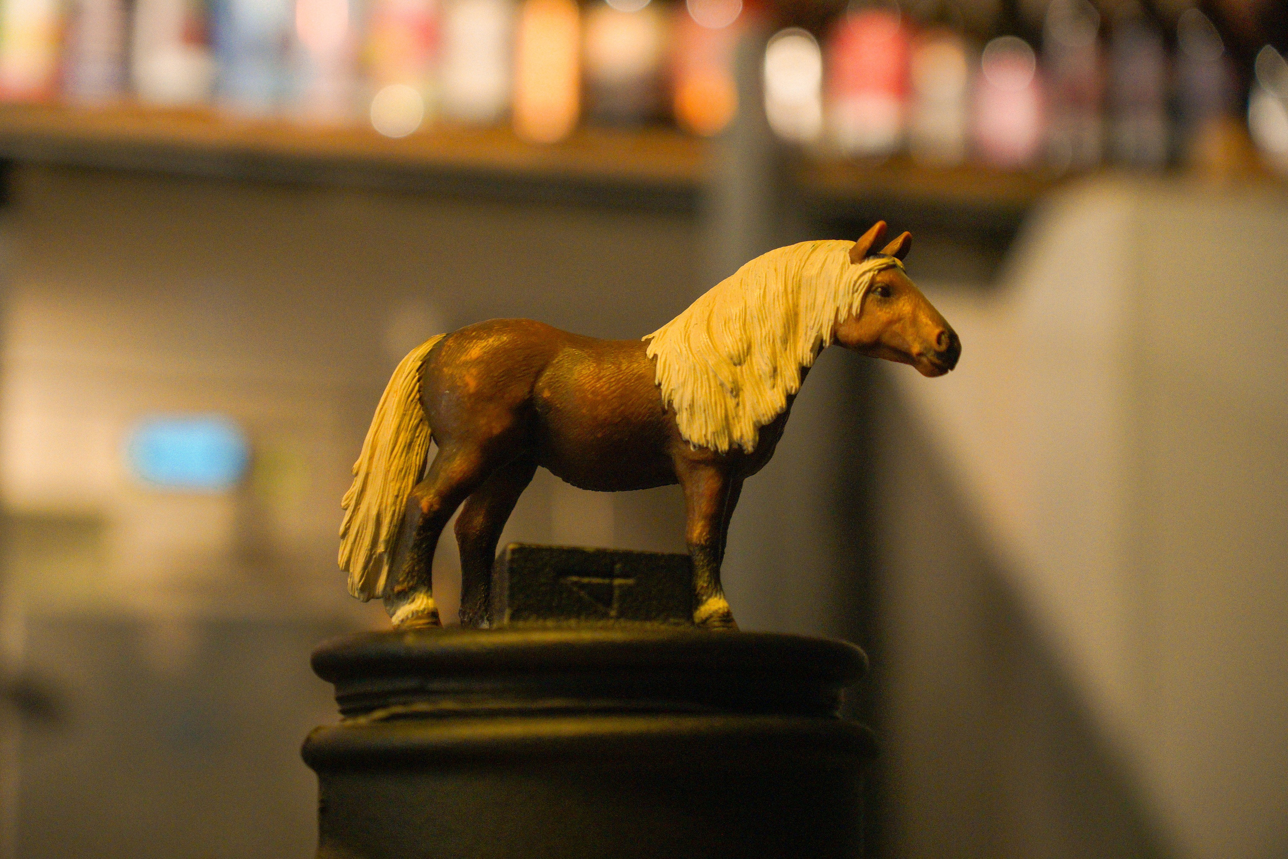 Поэтический вечер. Фотограф