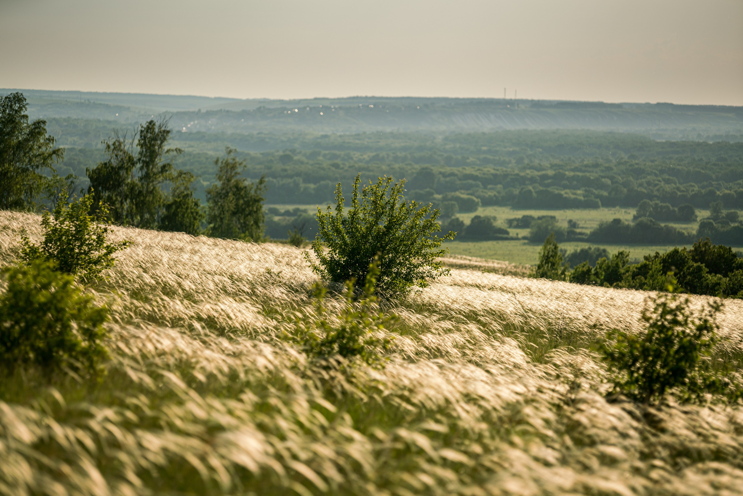 Белогорье, Воронежская область 2017. Фотограф Василий Буланов