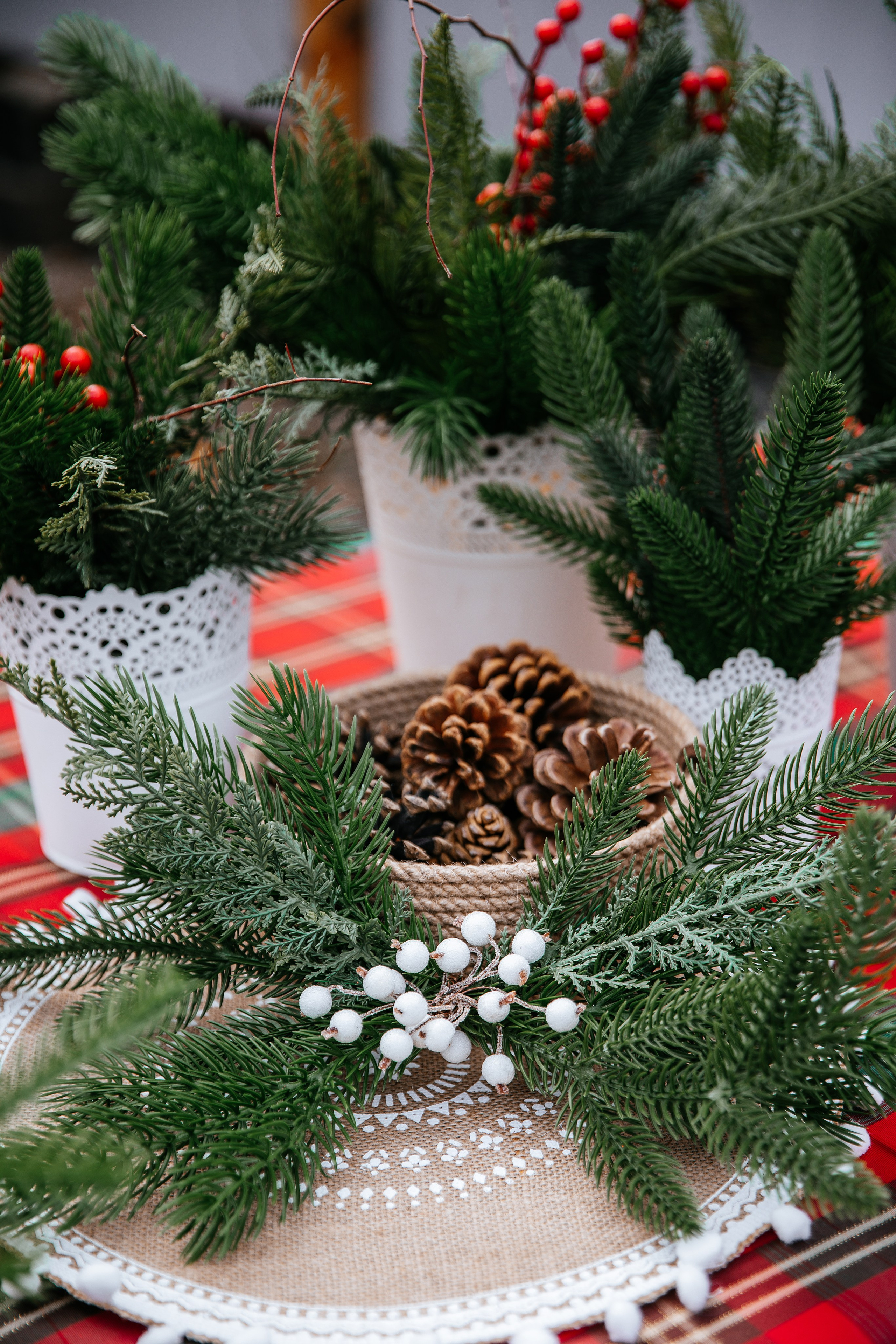 КЕМПИНГ. Фотостудия в Мариуполе «Берлога»
