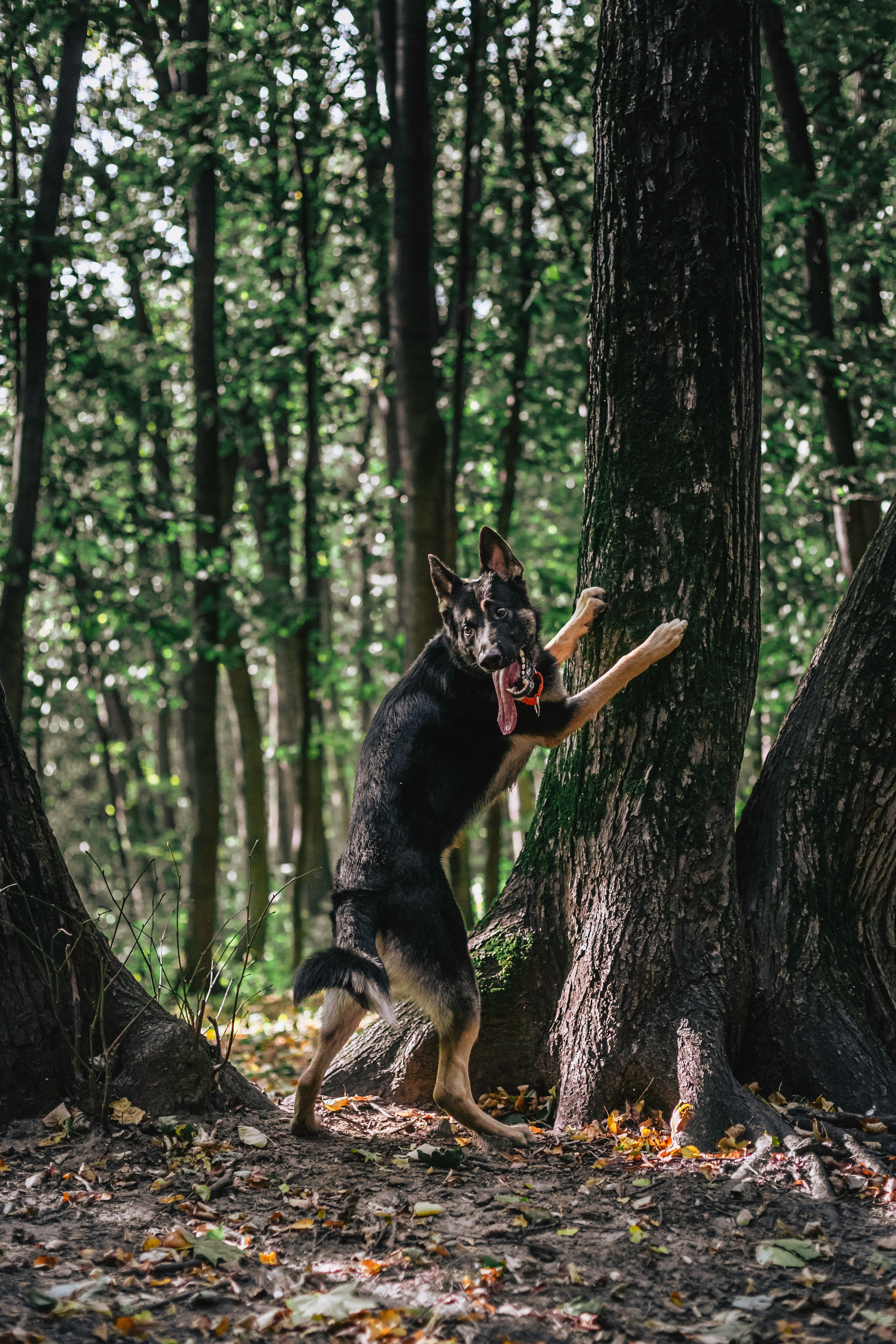 Илай. Фотограф-анималист Татьяна Степанова