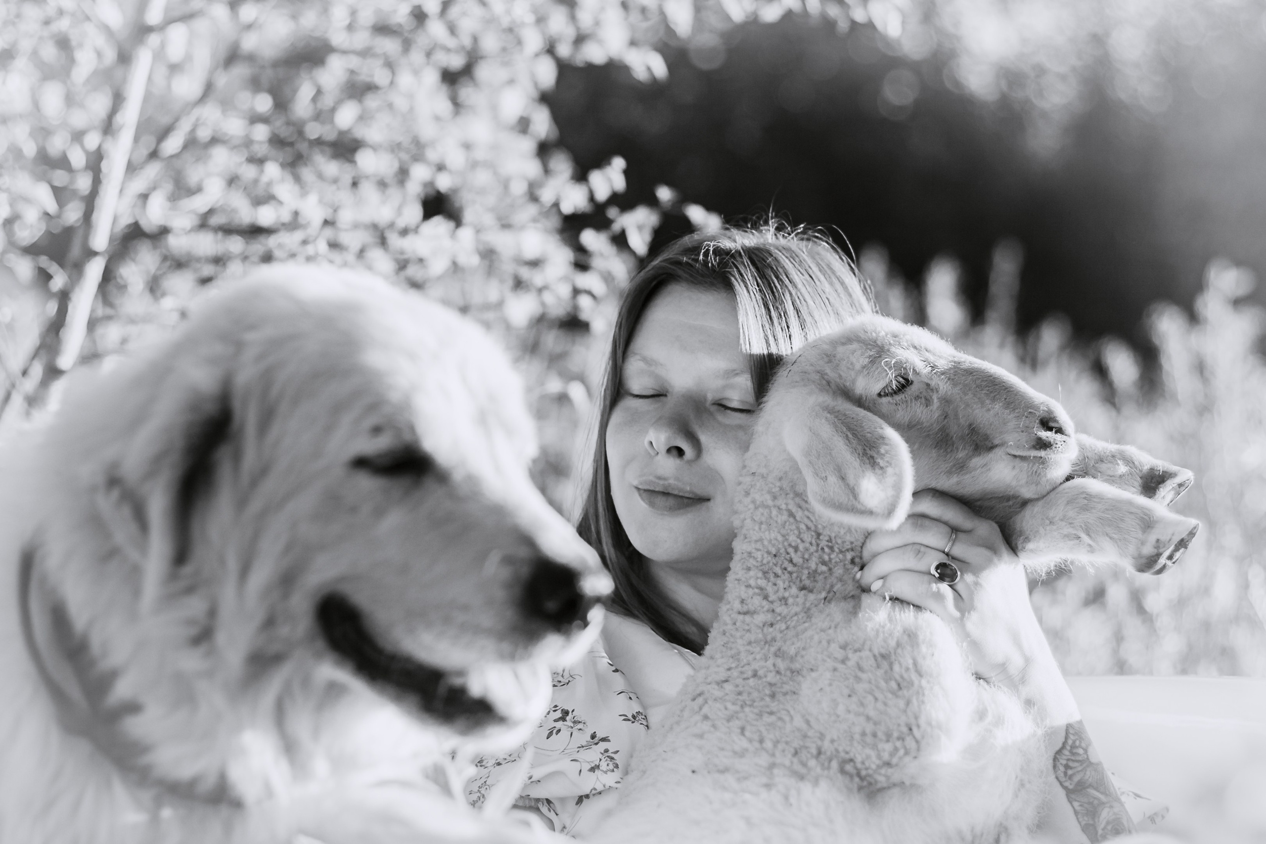 Ванна в поле. Фотограф-анималист Татьяна Степанова