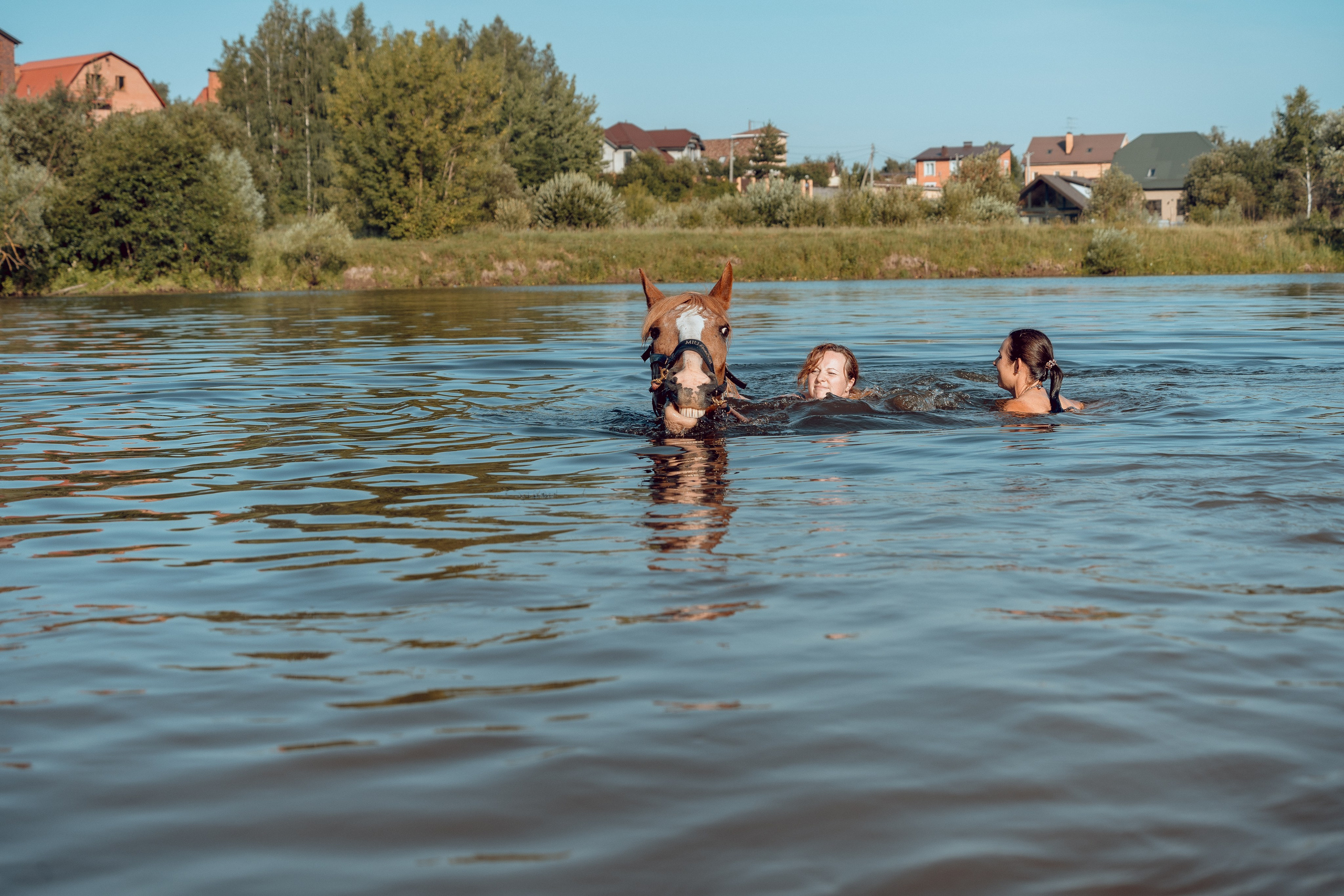 Купание лошадей 05.07.2024. Портретный и семейный фотограф в Москве/Видное