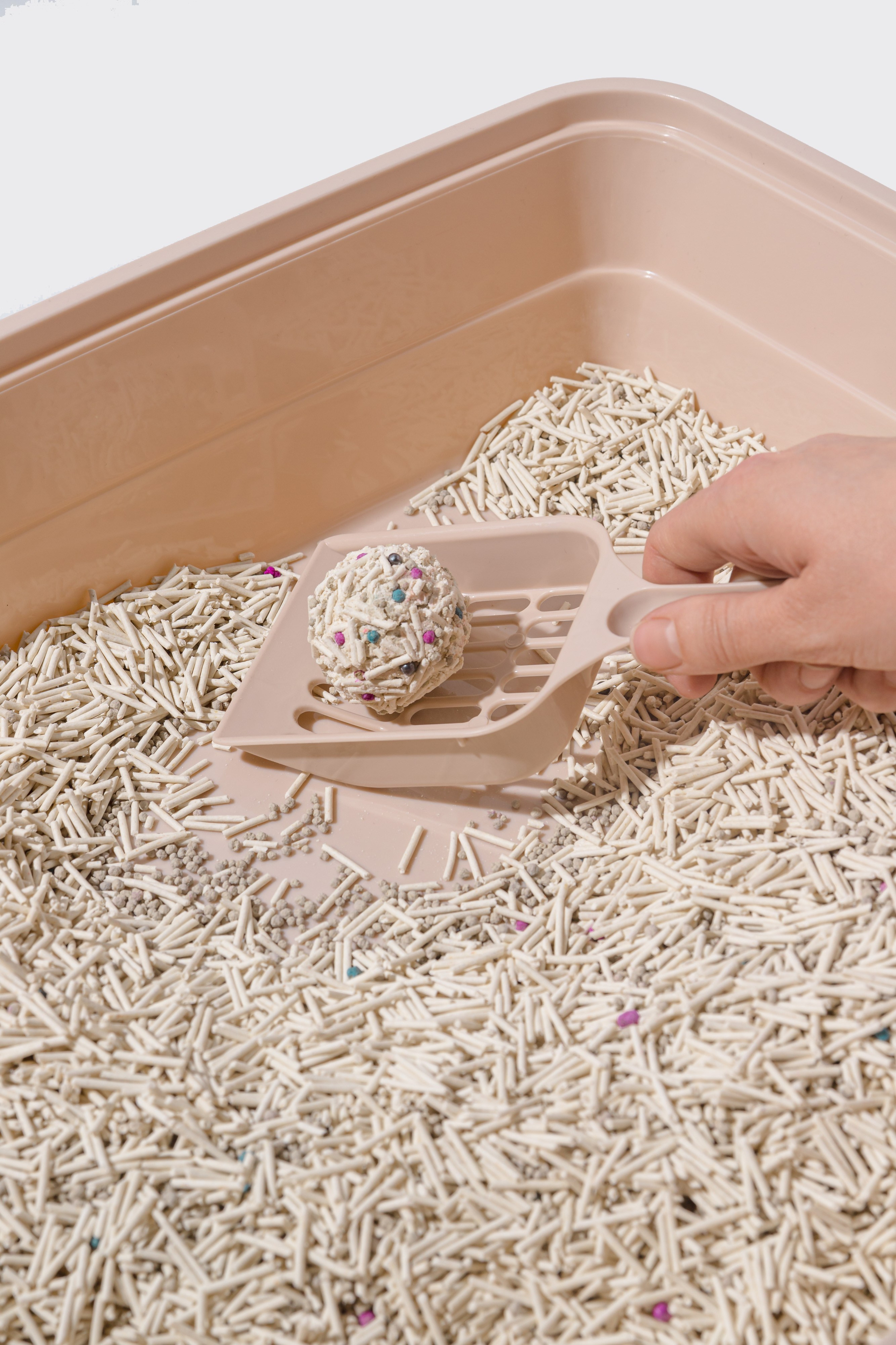 Наполнитель. Фотограф в Москве Татьяна Драгунова