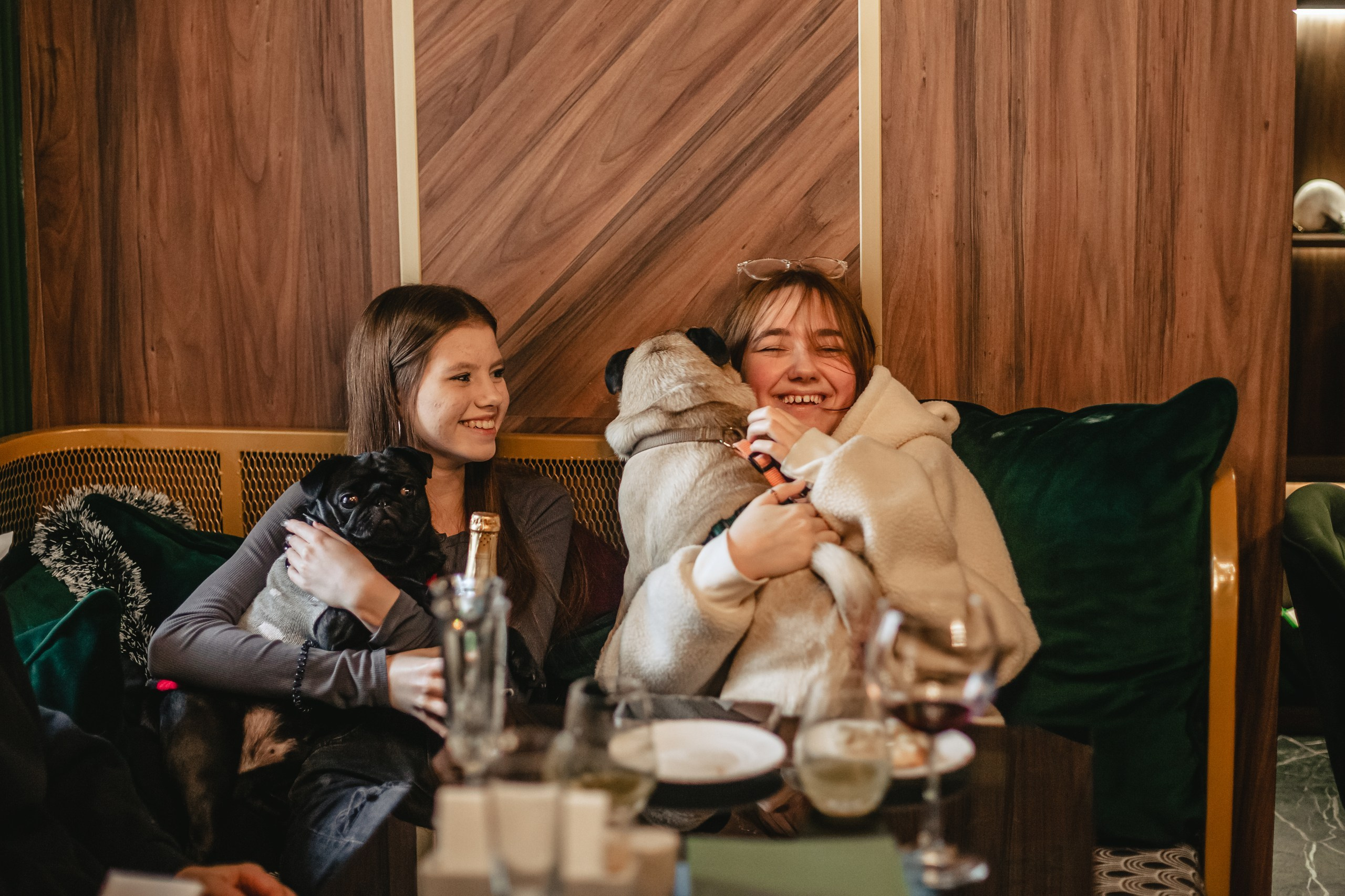 Мопсовстреча 02.12.2023. Фотограф-анималист Татьяна Степанова