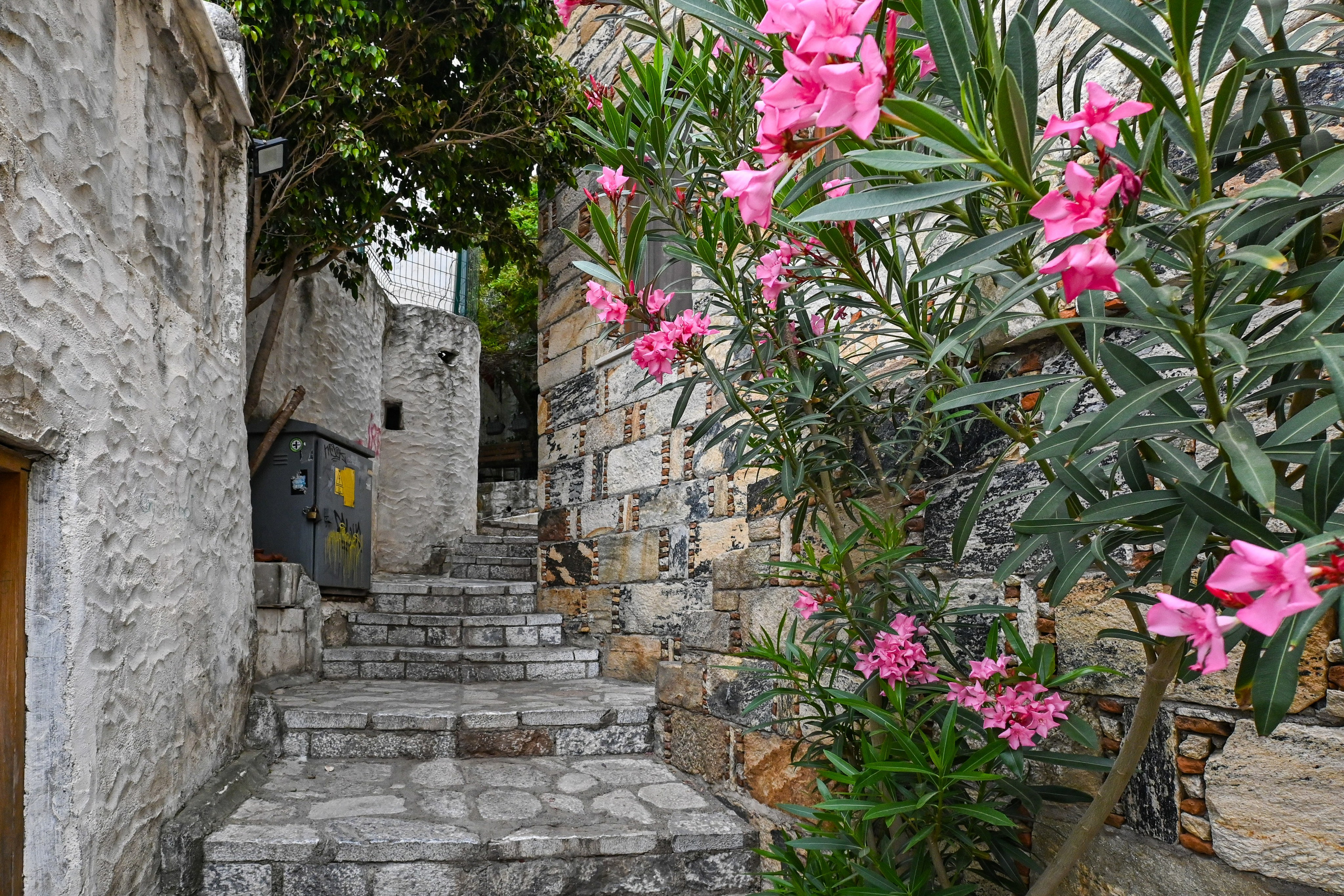 Тревел фото