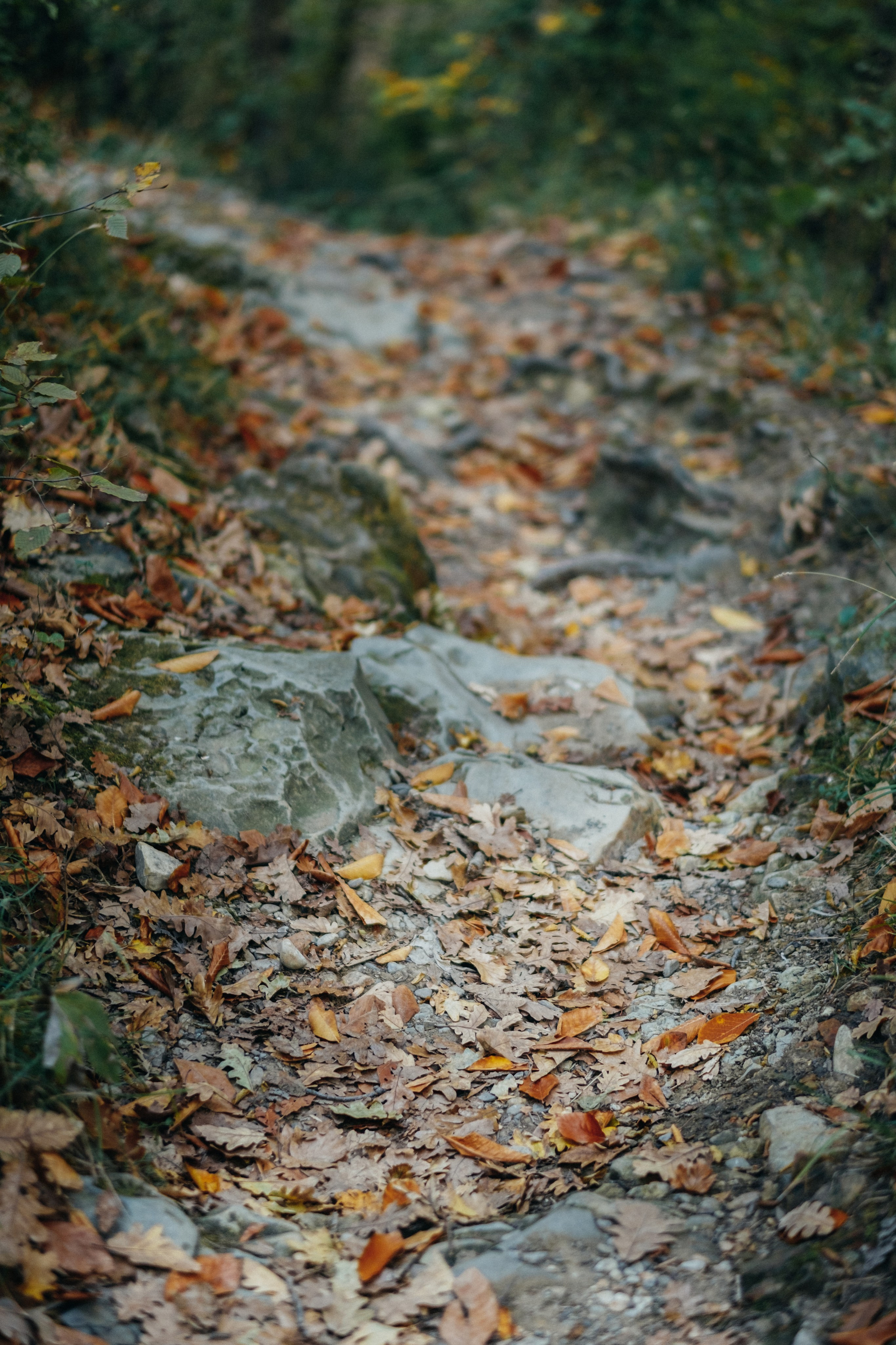 Туапсе. Свадебный Видеограф Фотограф в Сочи