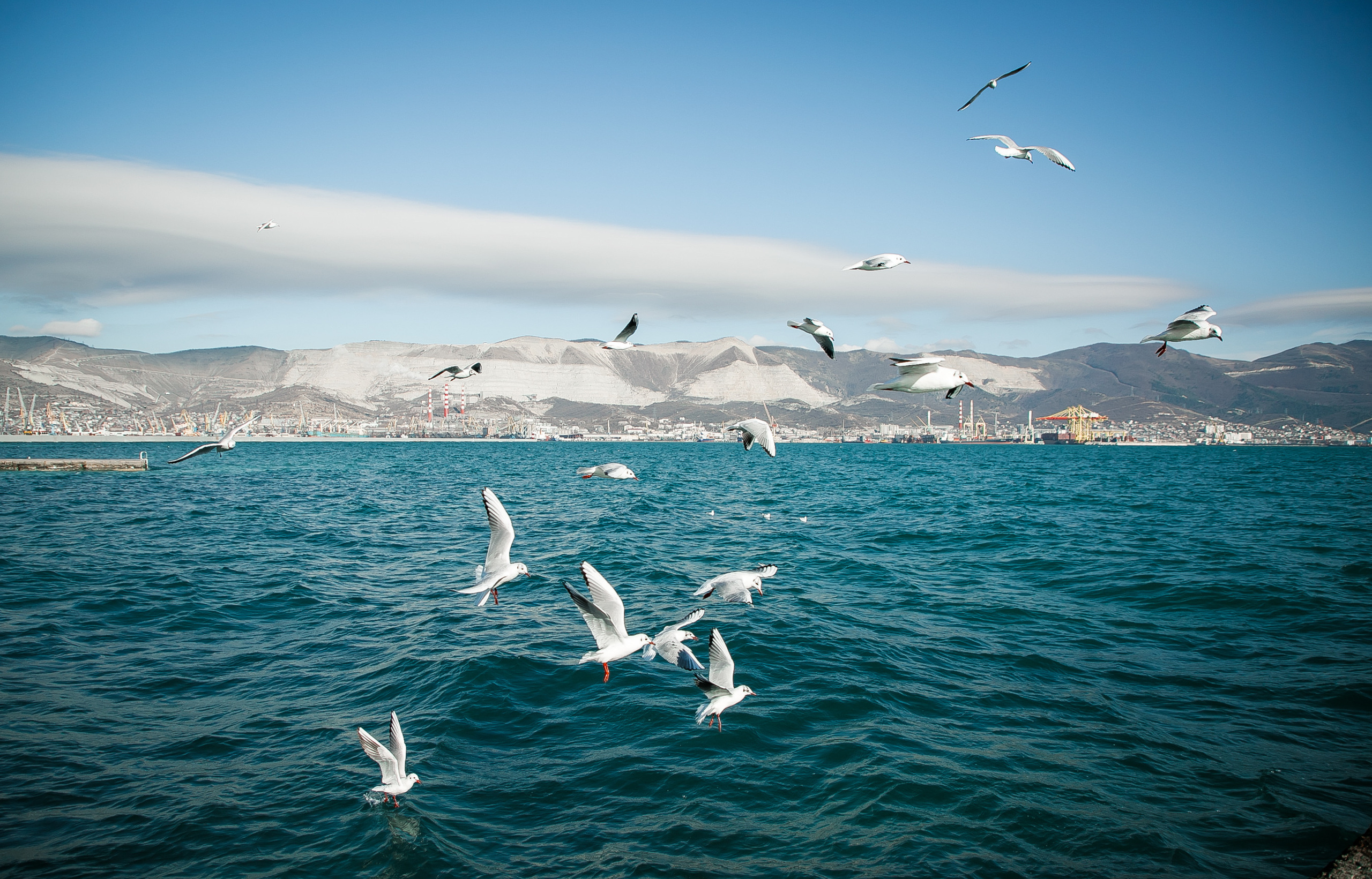 Море…Чайки…. Свадебный и семейный фотограф/видеограф в Краснодаре Наталья Осинская
