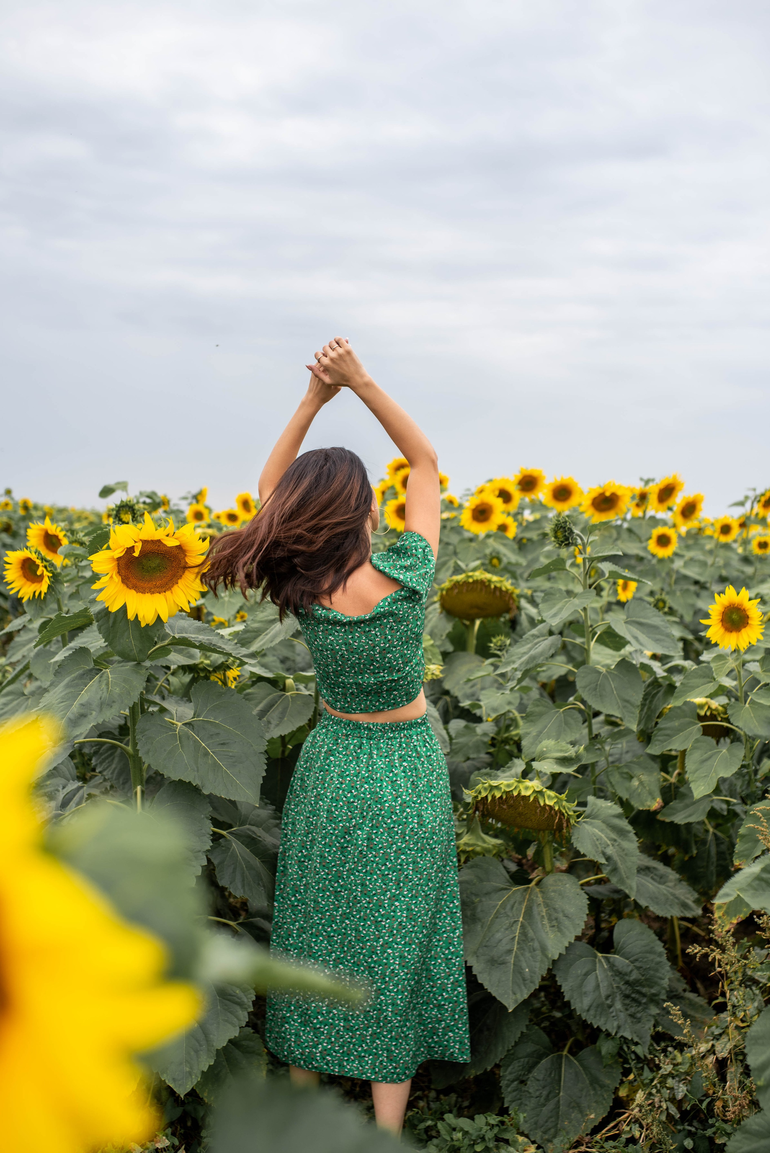 Подсолнухи. Фотосессия на природе. Фотограф Евгения ENIGMA