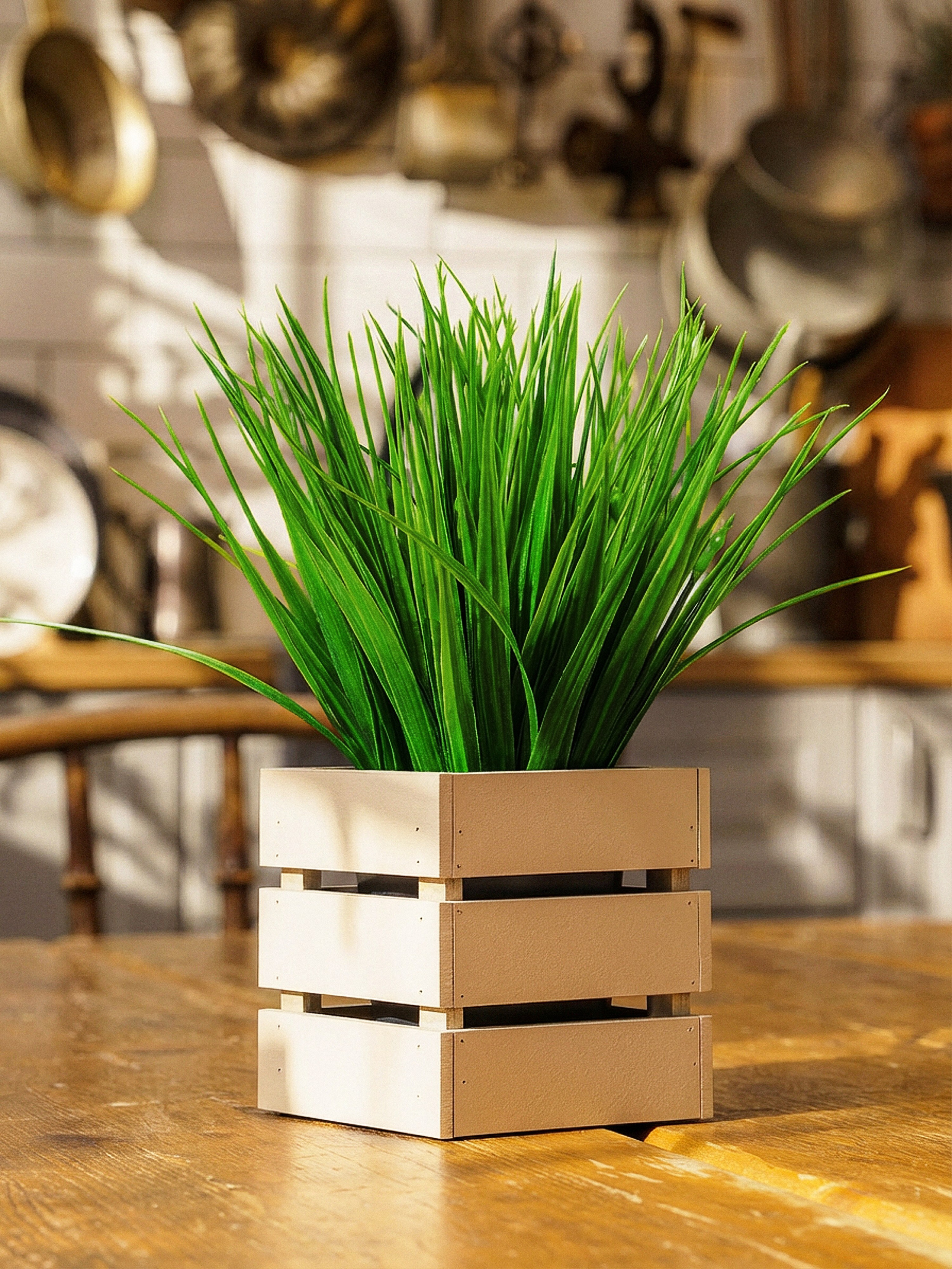 Кашпо. Макаров Сергей|Creamlebot Фотограф города Ростов-на-Дону