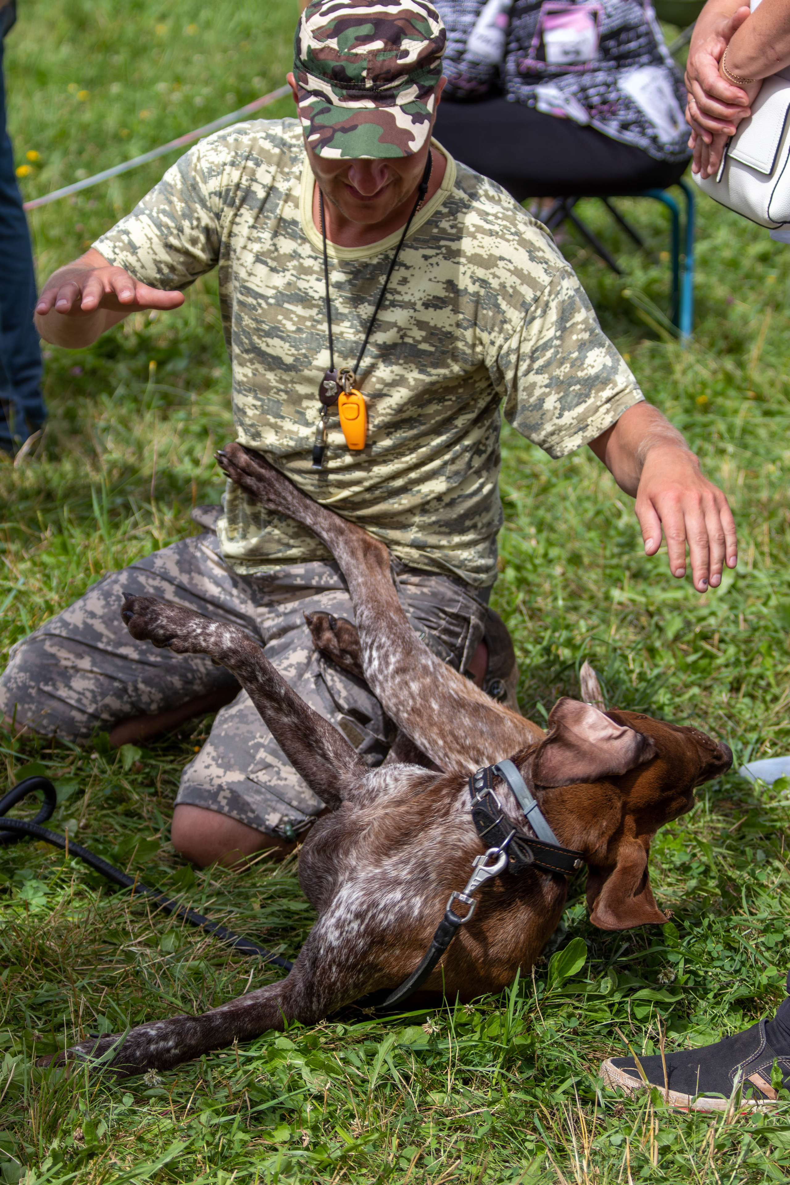Репортажная съемка в Туле. Фотограф анималист — Тула, Москва