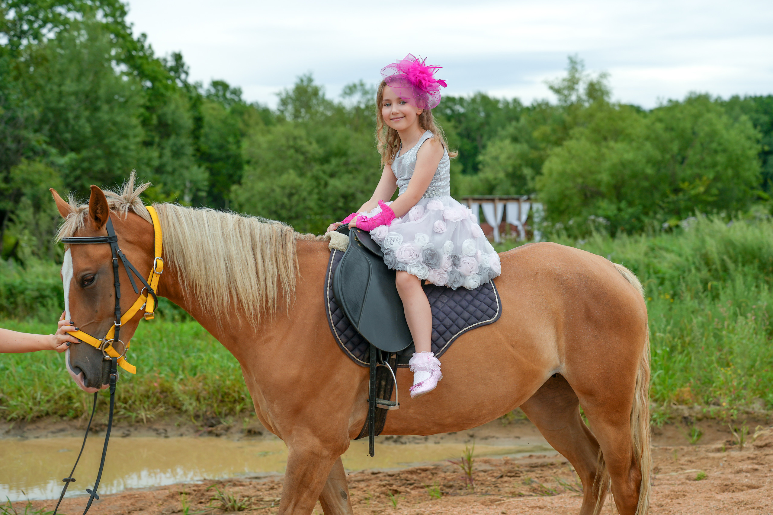 Отзывы на мою работу