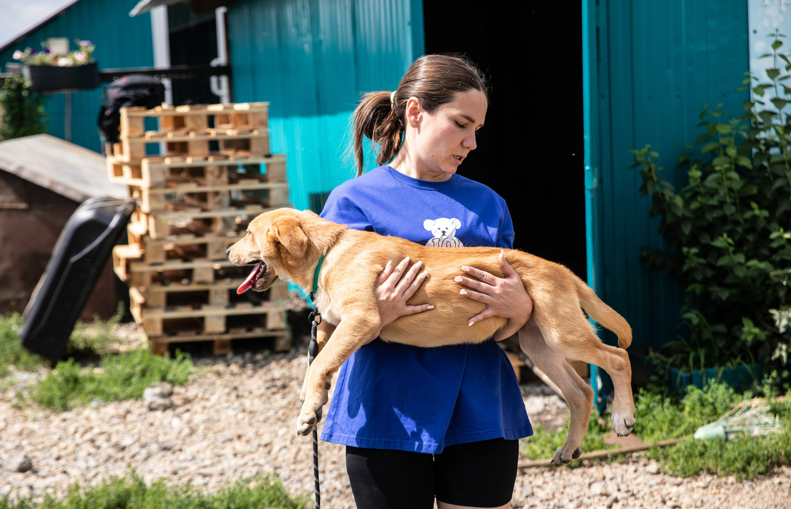 Приют — Наш дом. Репортажный и свадебный фотограф в Челябинске Елисеев Павел