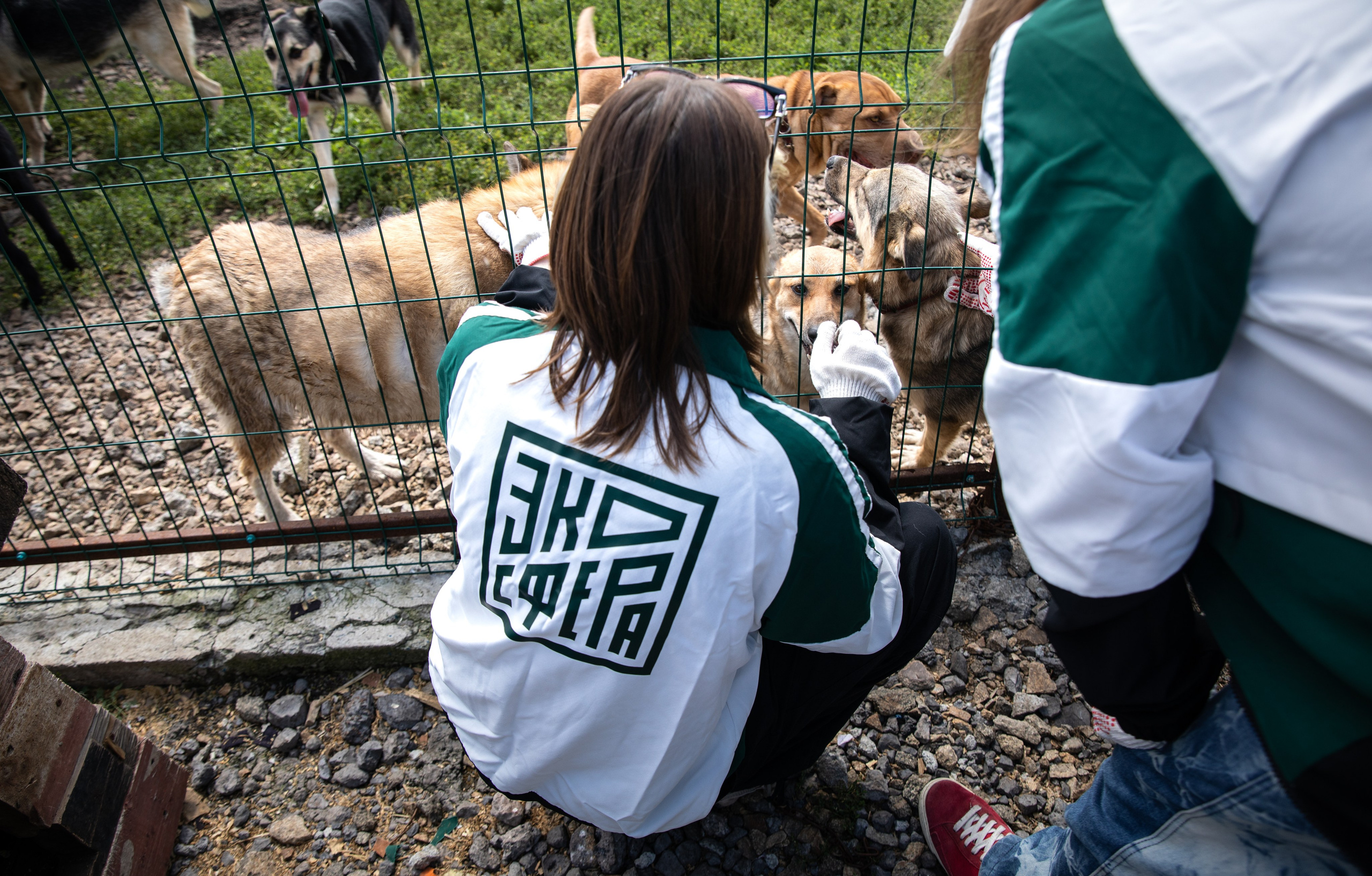 Приют — Наш дом. Репортажный и свадебный фотограф в Челябинске Елисеев Павел