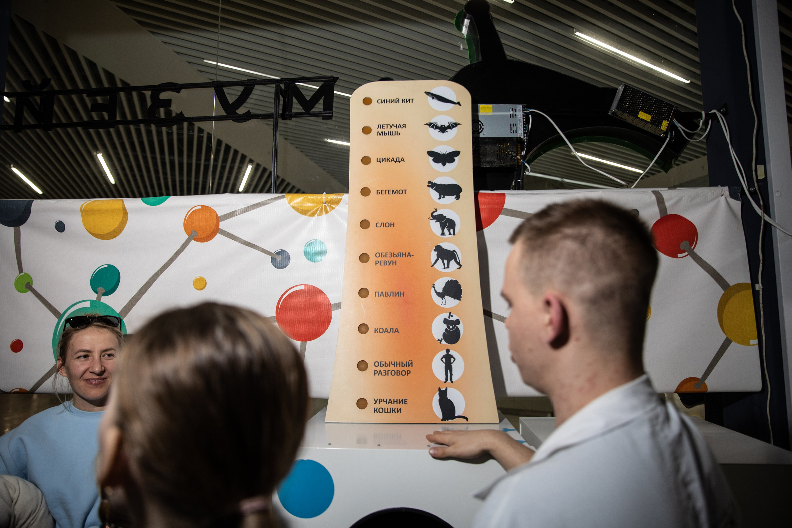 Экспрементус -Новые люди 2026. Репортажный и свадебный фотограф в Челябинске Елисеев Павел