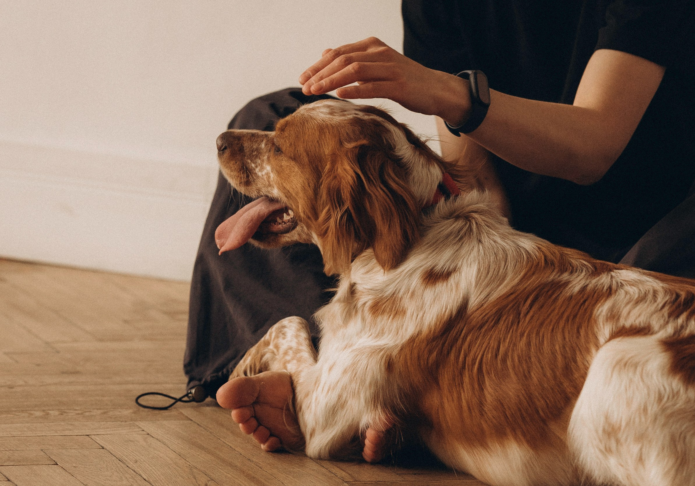 Настя и Уля. Татьяна Афонина | Фотограф