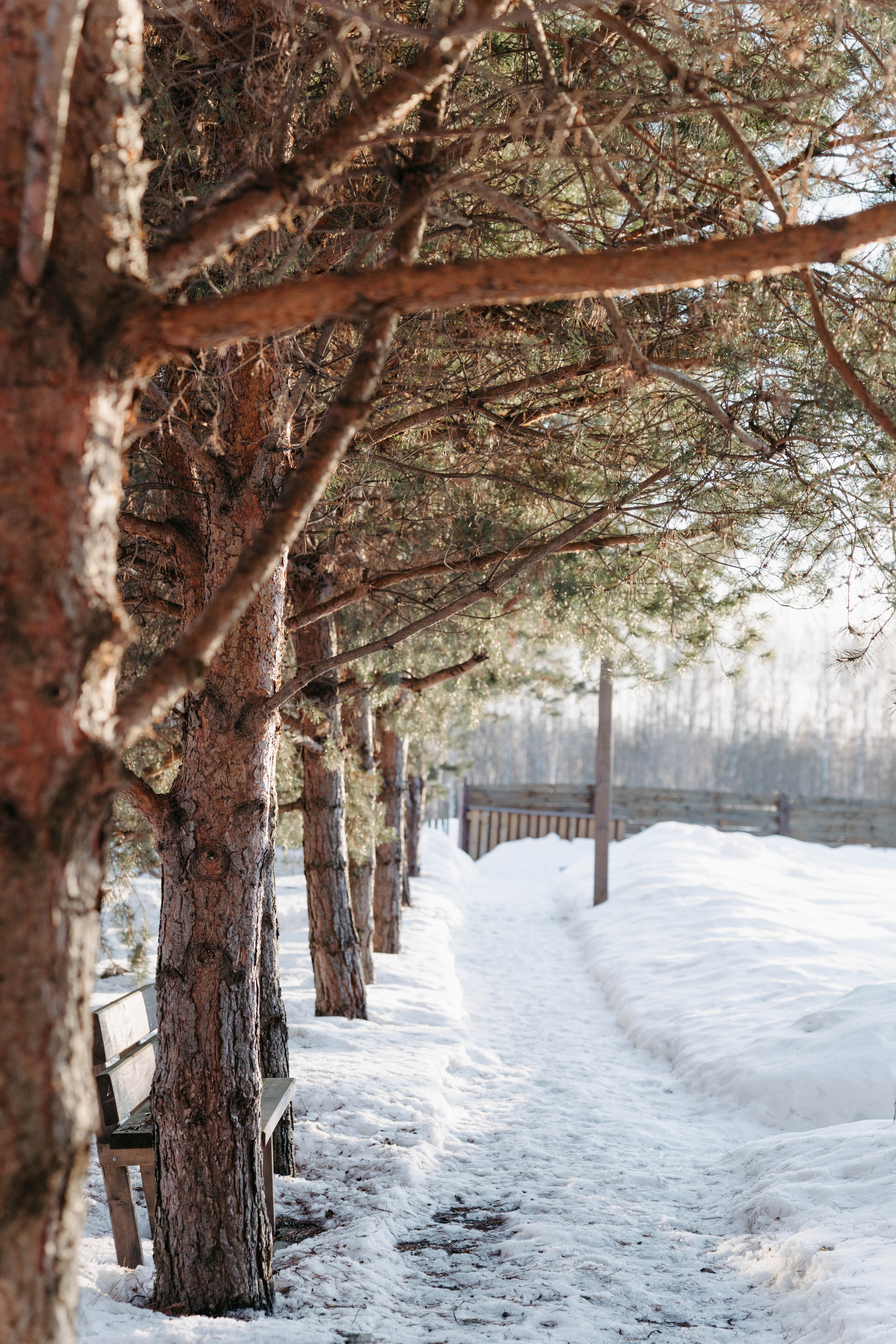 Междуречье|Экоотель. Фотограф Абакумова Анастасия