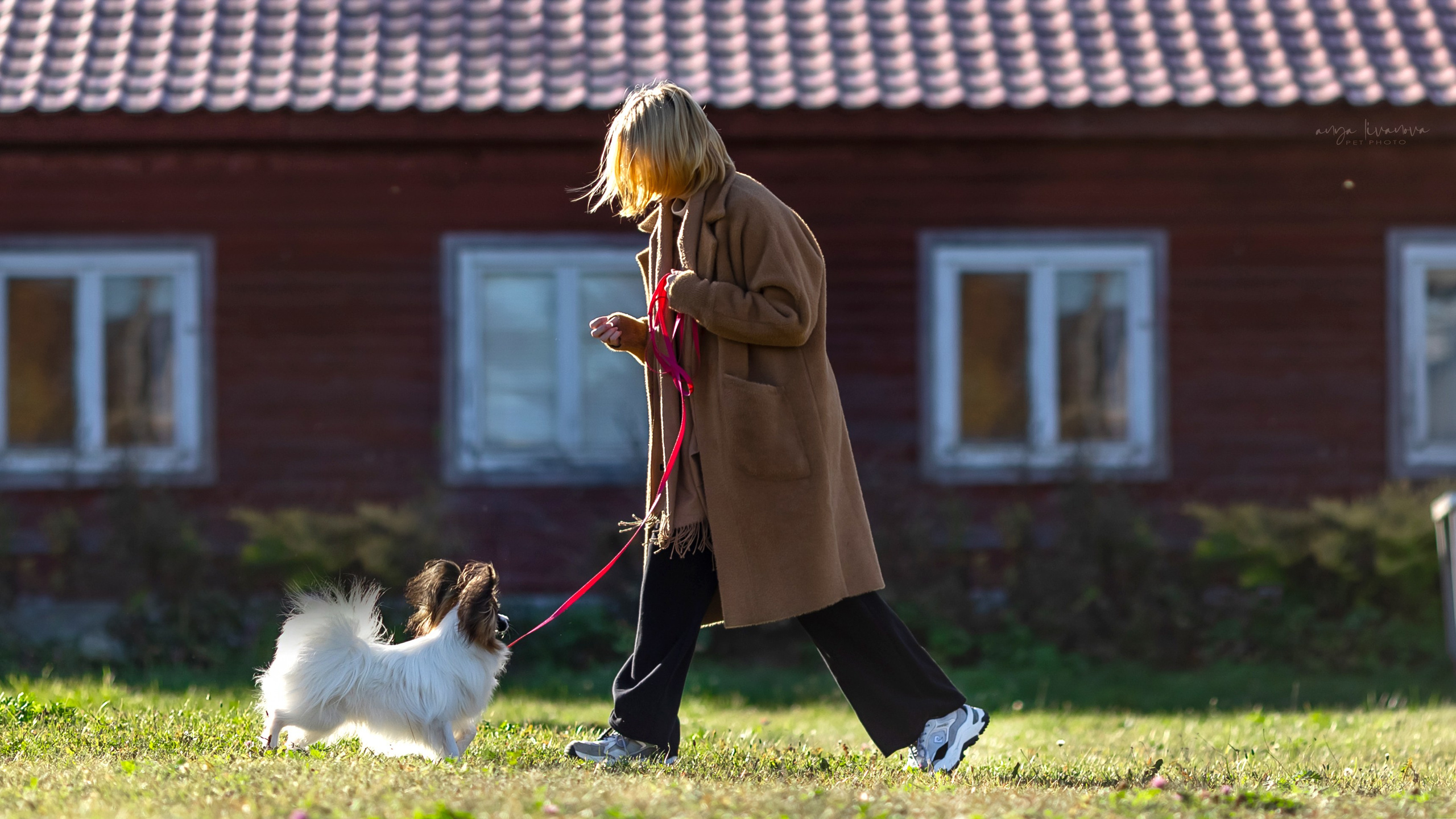 Хьюстон. Фотограф анималист Аня Ливанова | Рыбинск