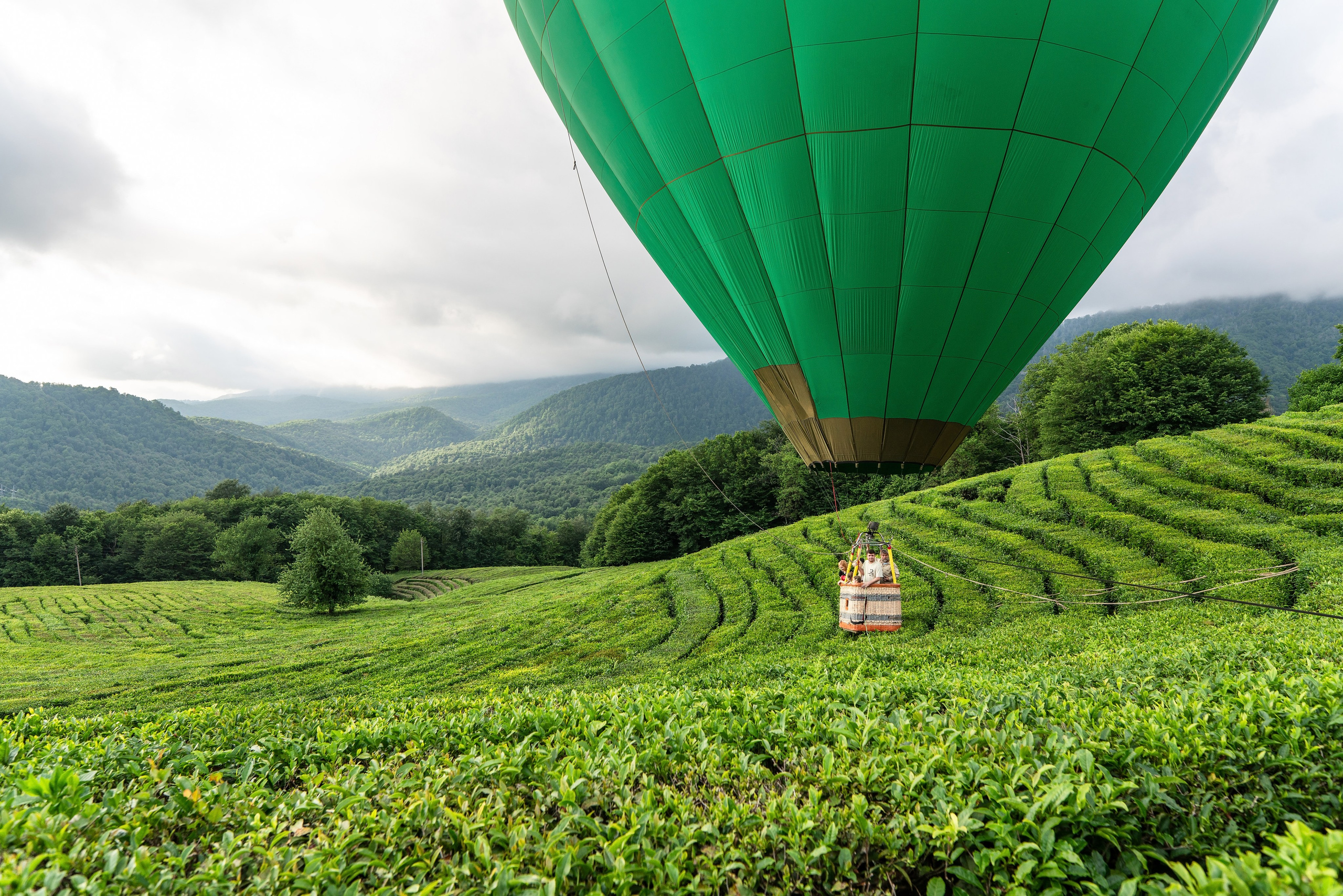 Фотограф на праздник Сочи. Фотограф Сочи